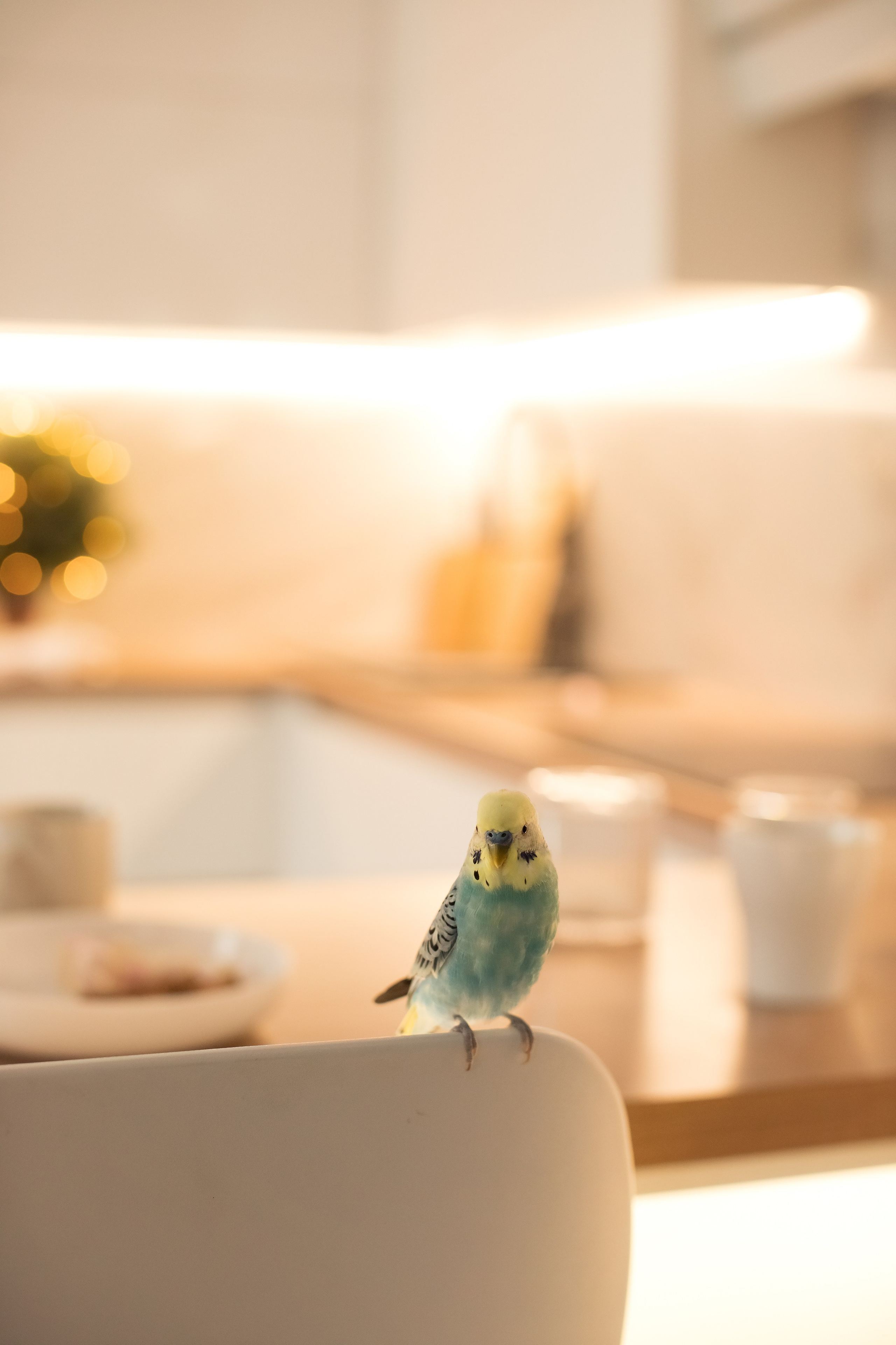 Воркшоп " Домашняя фотосессия». Семейный и детский фотограф в Саратове Полина Коткина