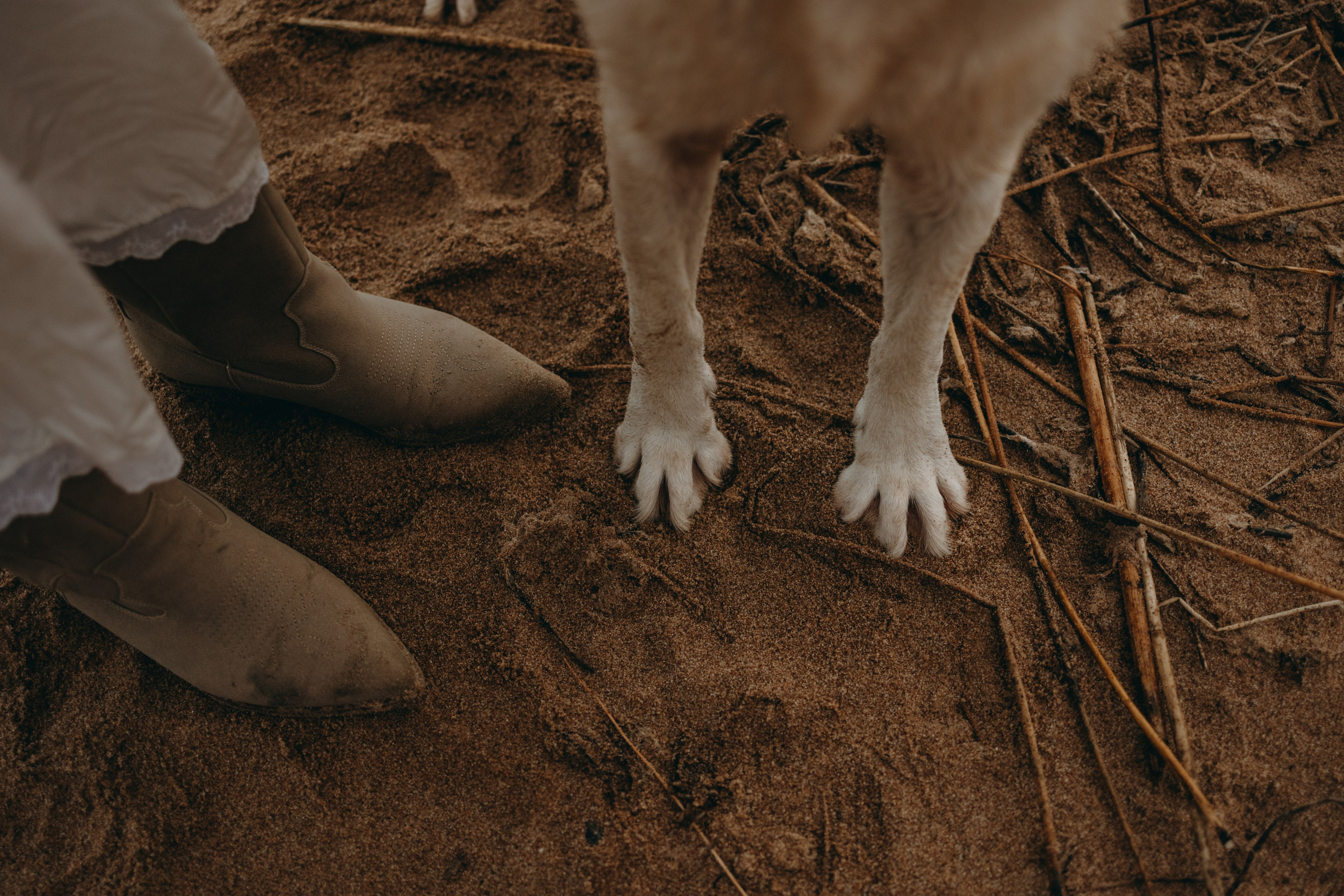 Наташа и Шани. Фотограф — Анималист | Санкт-Петербург