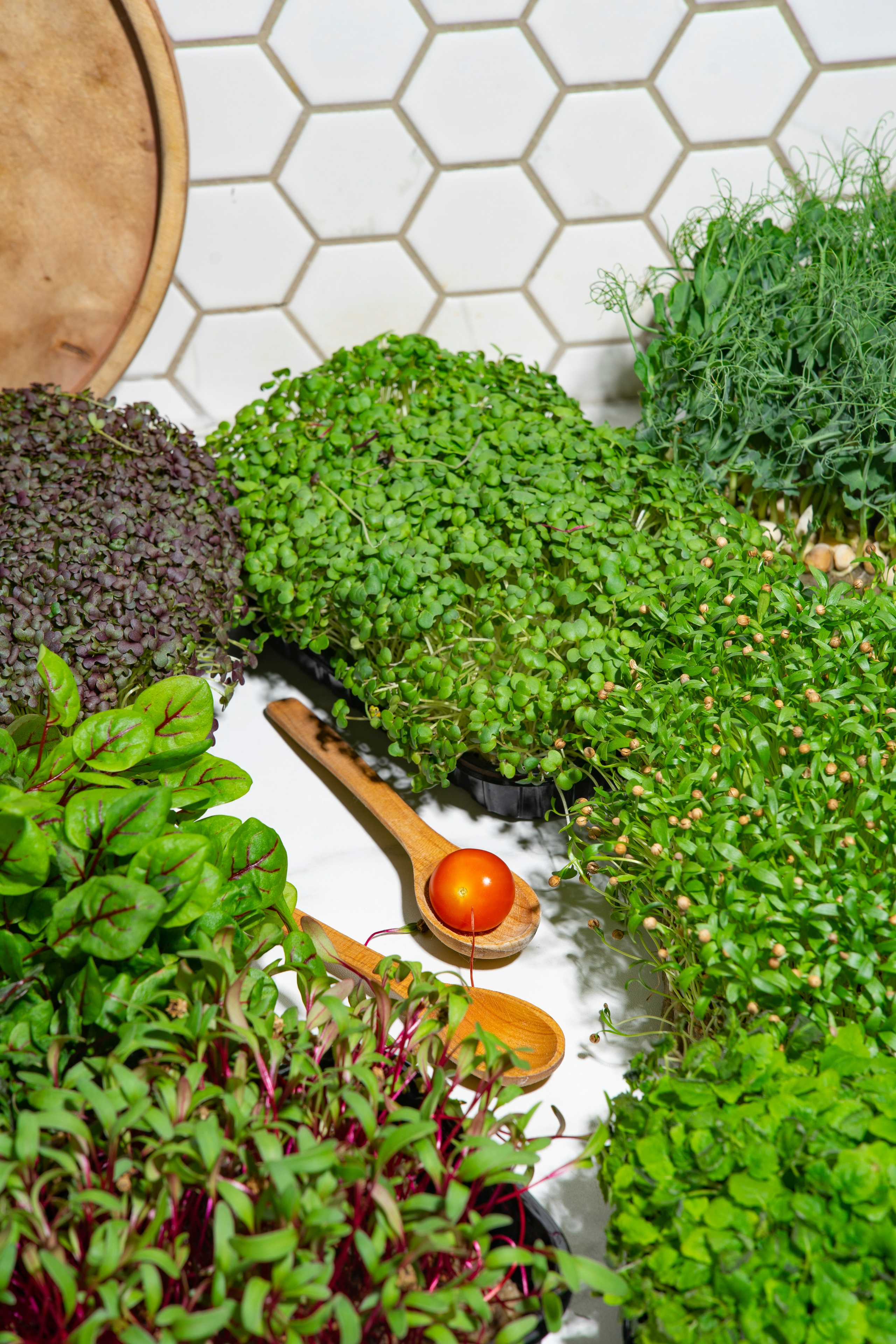 Фуд-фото. Фотосессия СПб. Фотограф Санкт-Петербург и Москва Дарья Лиховецкая