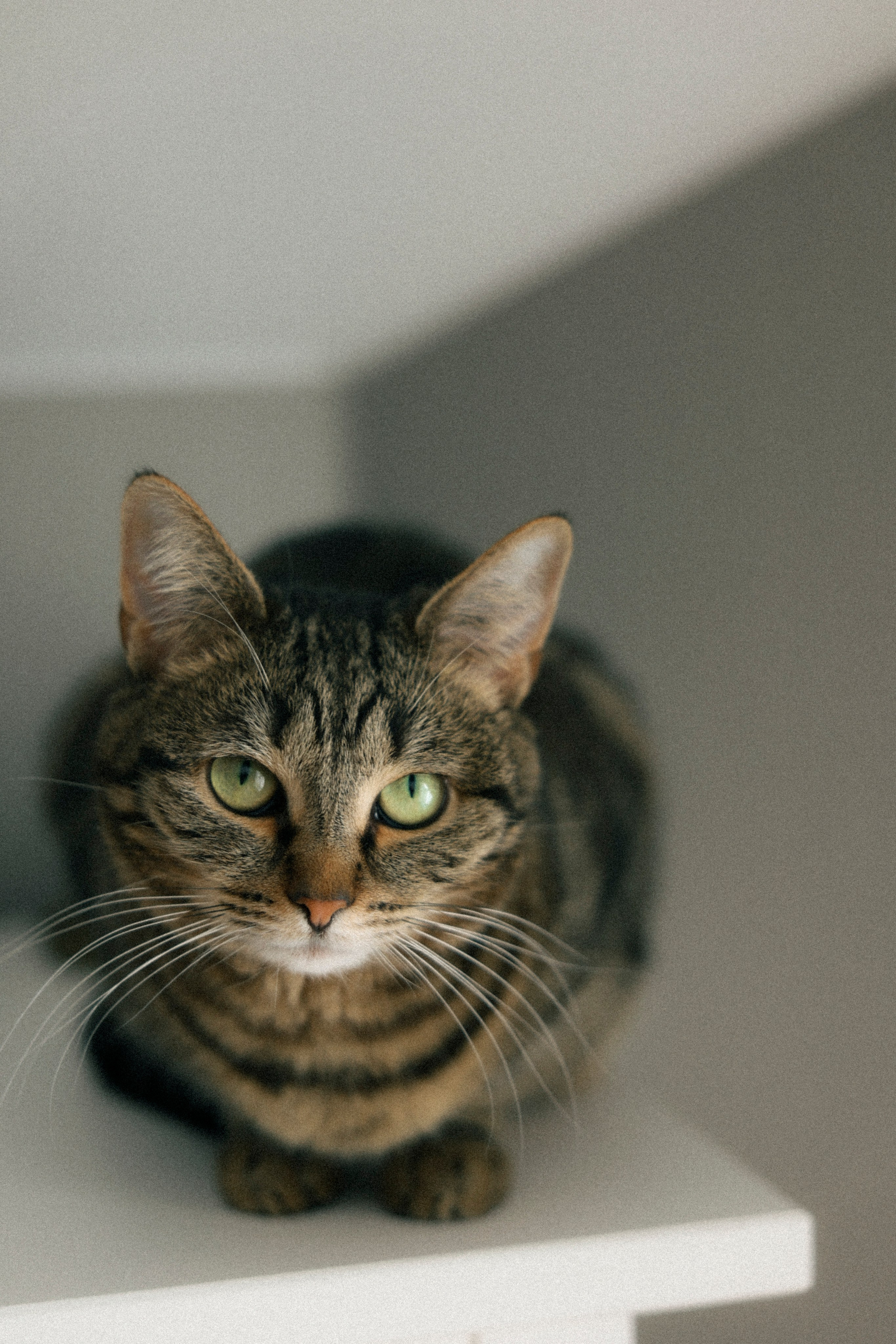 Марьям и Серафим. Фотограф НатаФото (Наталья Яковенко) Дмитров Москва Питер