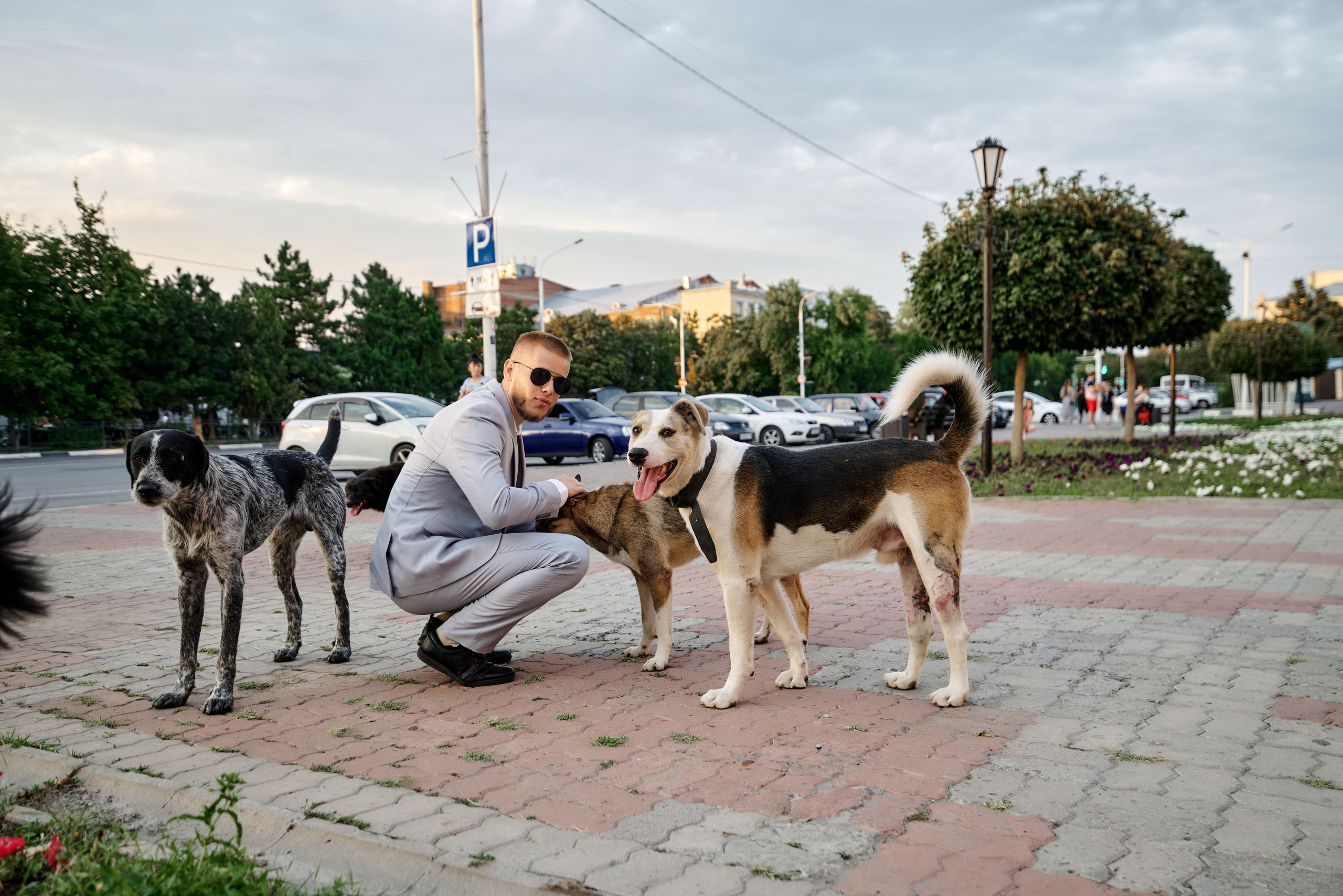 Даша и Антон. Свадебный фотограф г. Новочеркасск г. Ростов-на-Дону