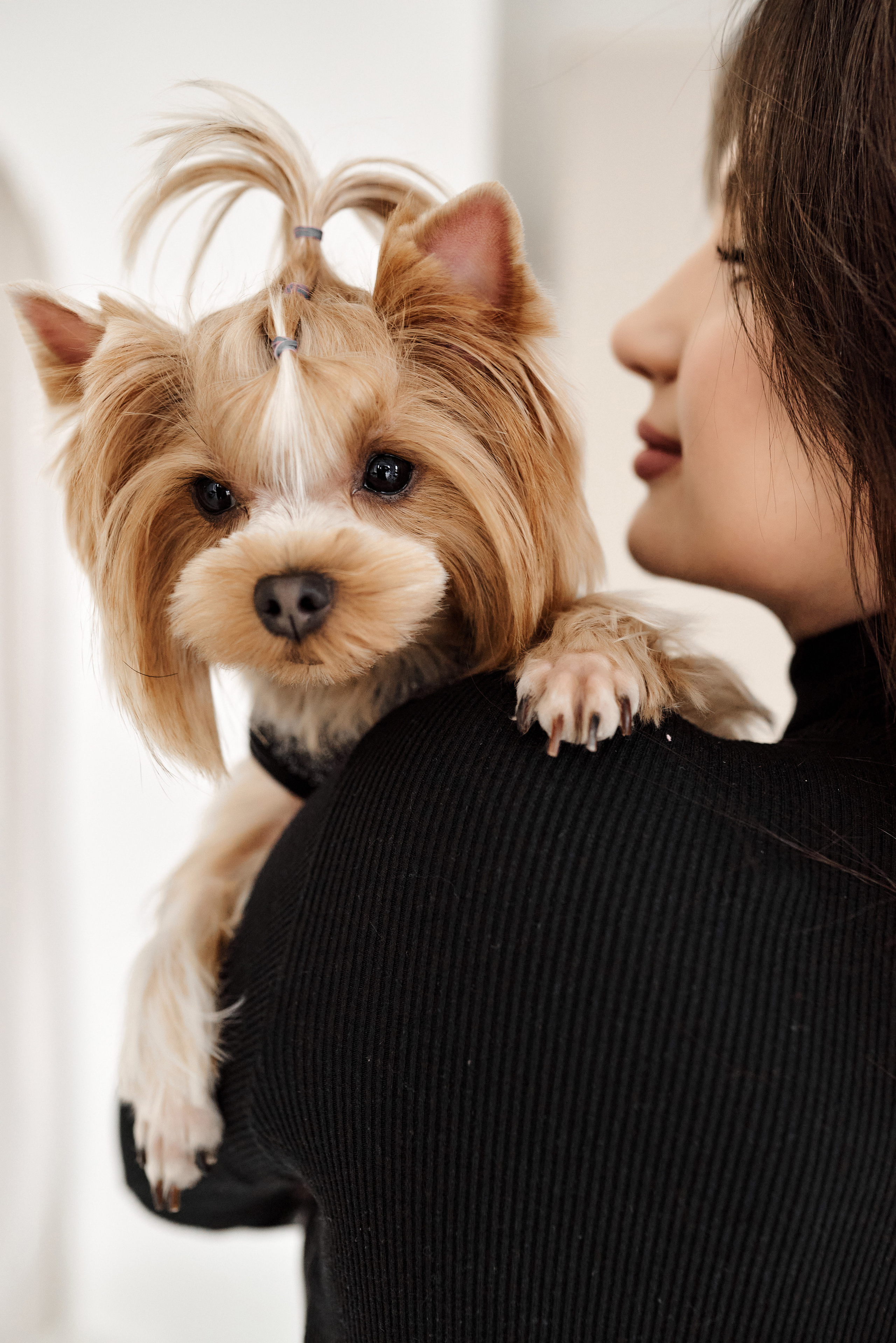 Маша и Витя. Свадебный фотограф г. Новочеркасск г. Ростов-на-Дону