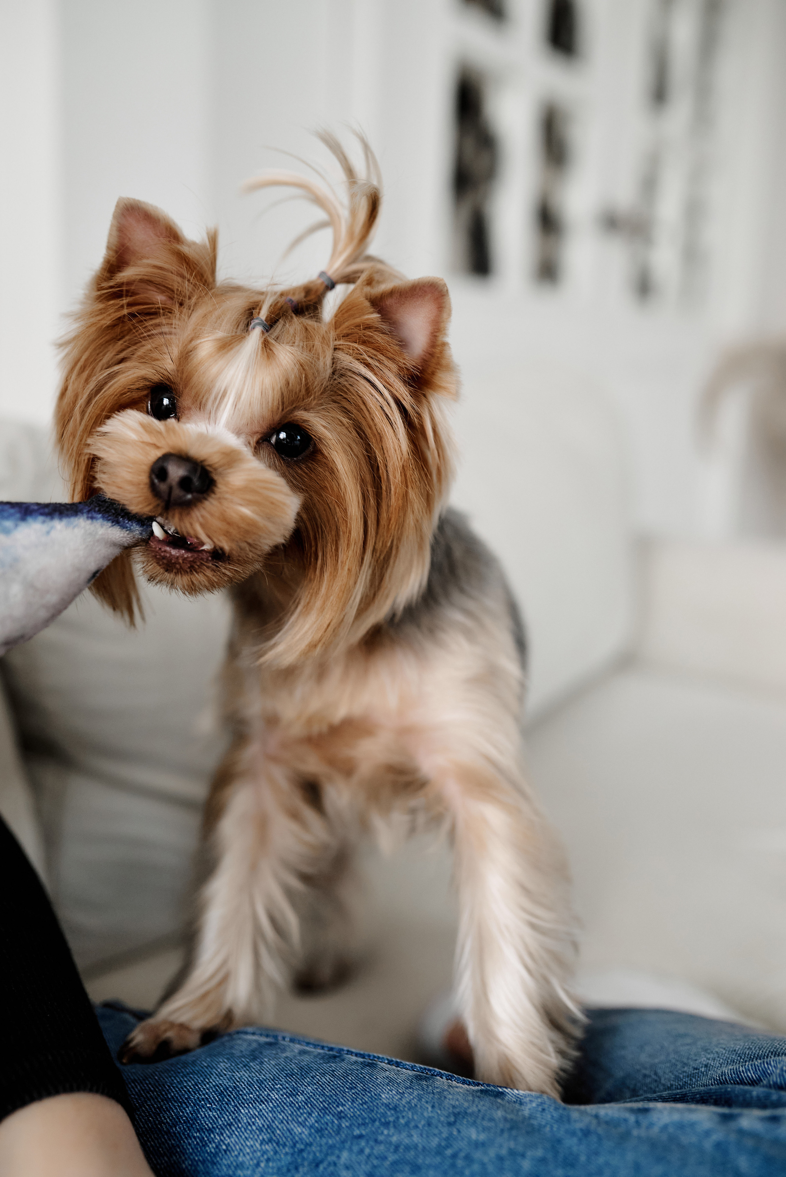 Маша и Витя. Свадебный фотограф г. Новочеркасск г. Ростов-на-Дону