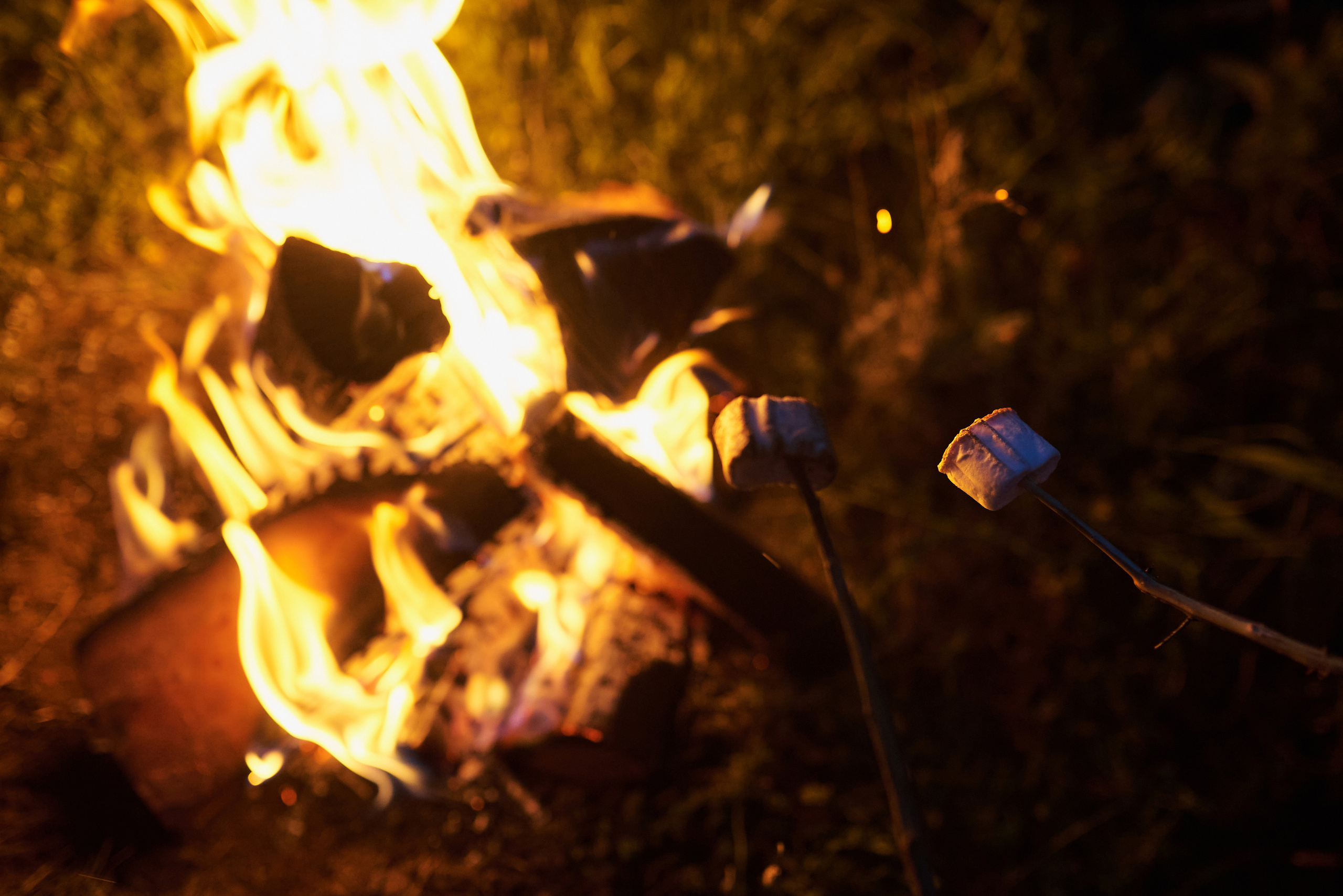 Вадим и Вера. Свадебный фотограф г. Новочеркасск г. Ростов-на-Дону
