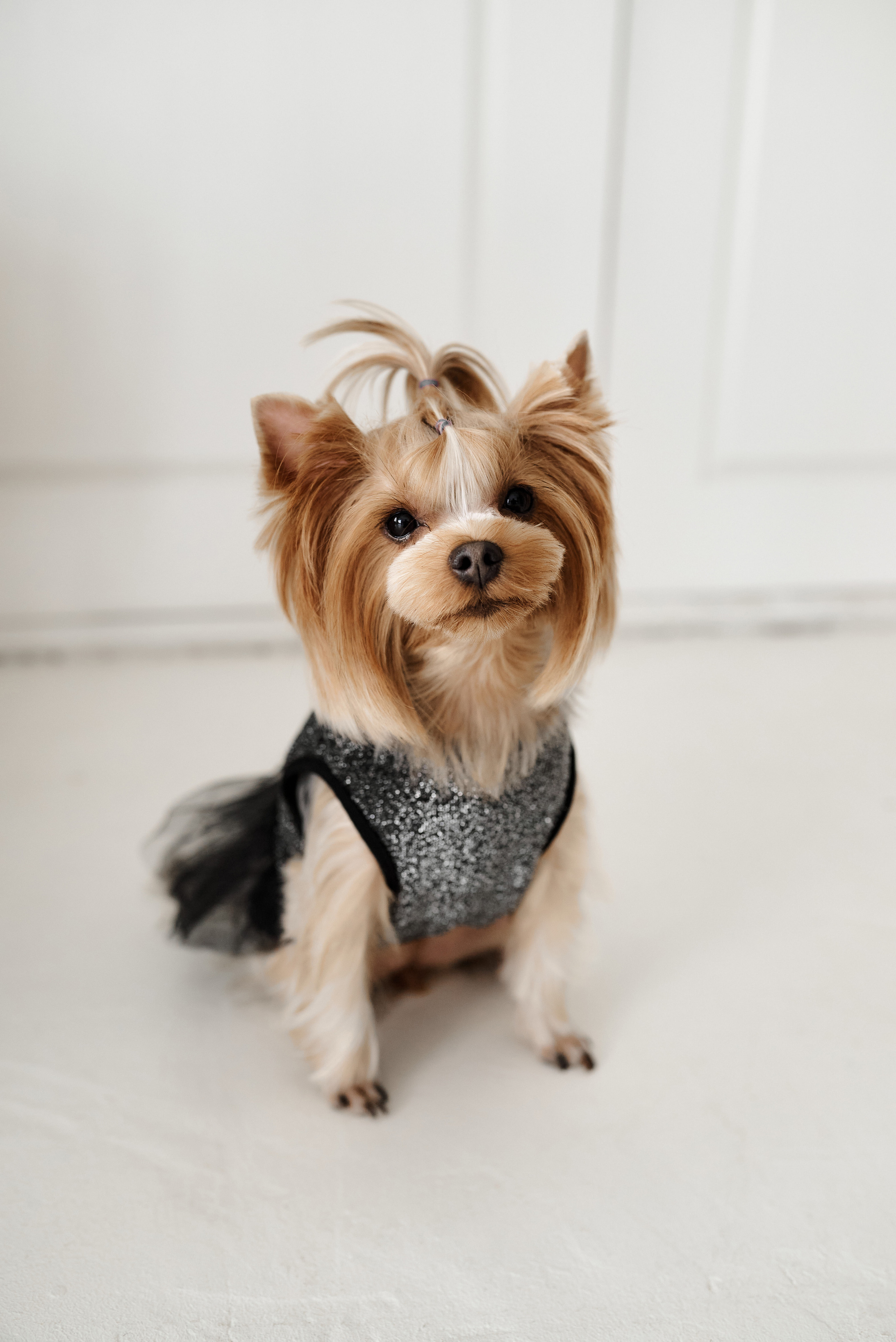 Маша и Витя. Свадебный фотограф г. Новочеркасск г. Ростов-на-Дону