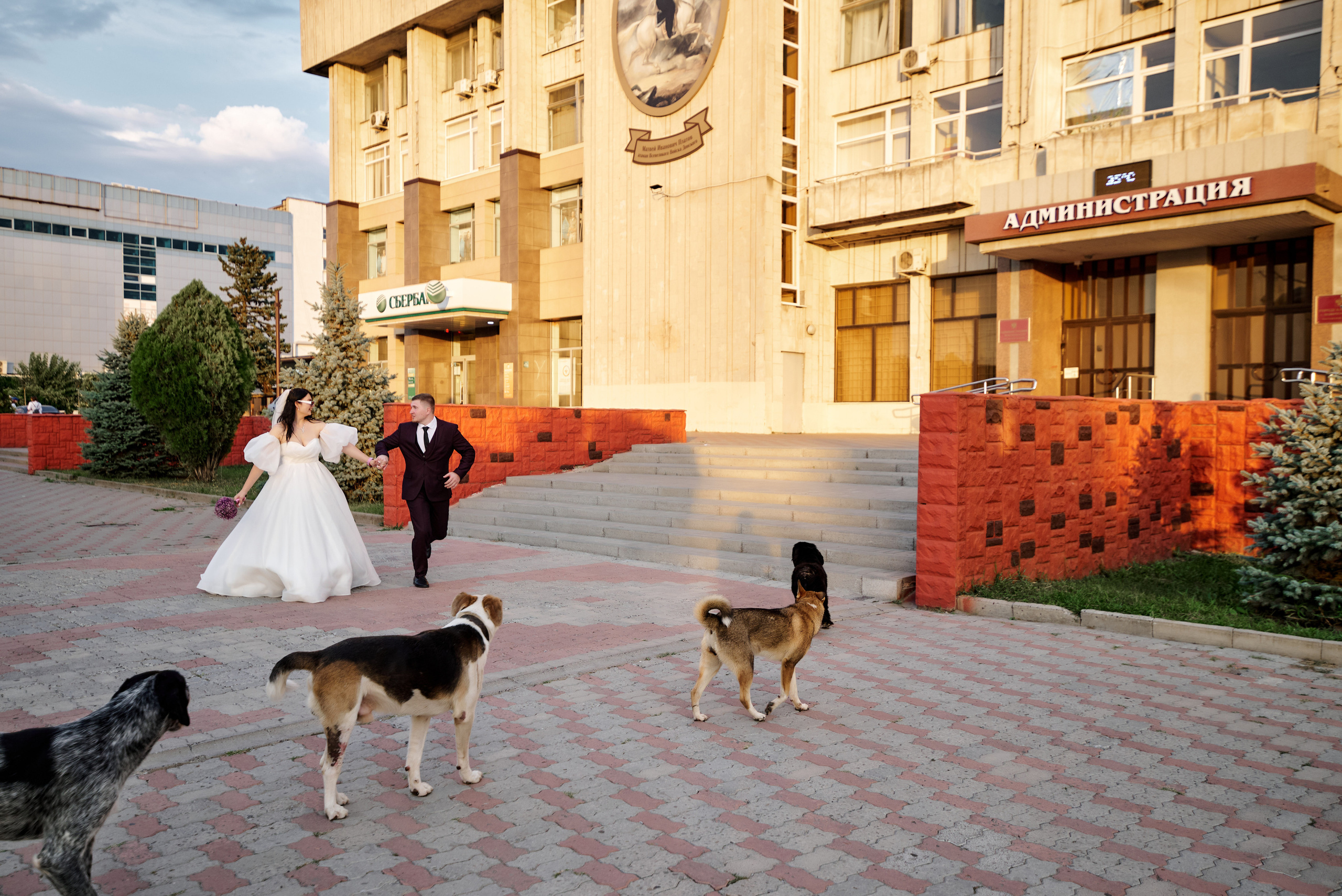 Даша и Антон. Свадебный фотограф г. Новочеркасск г. Ростов-на-Дону