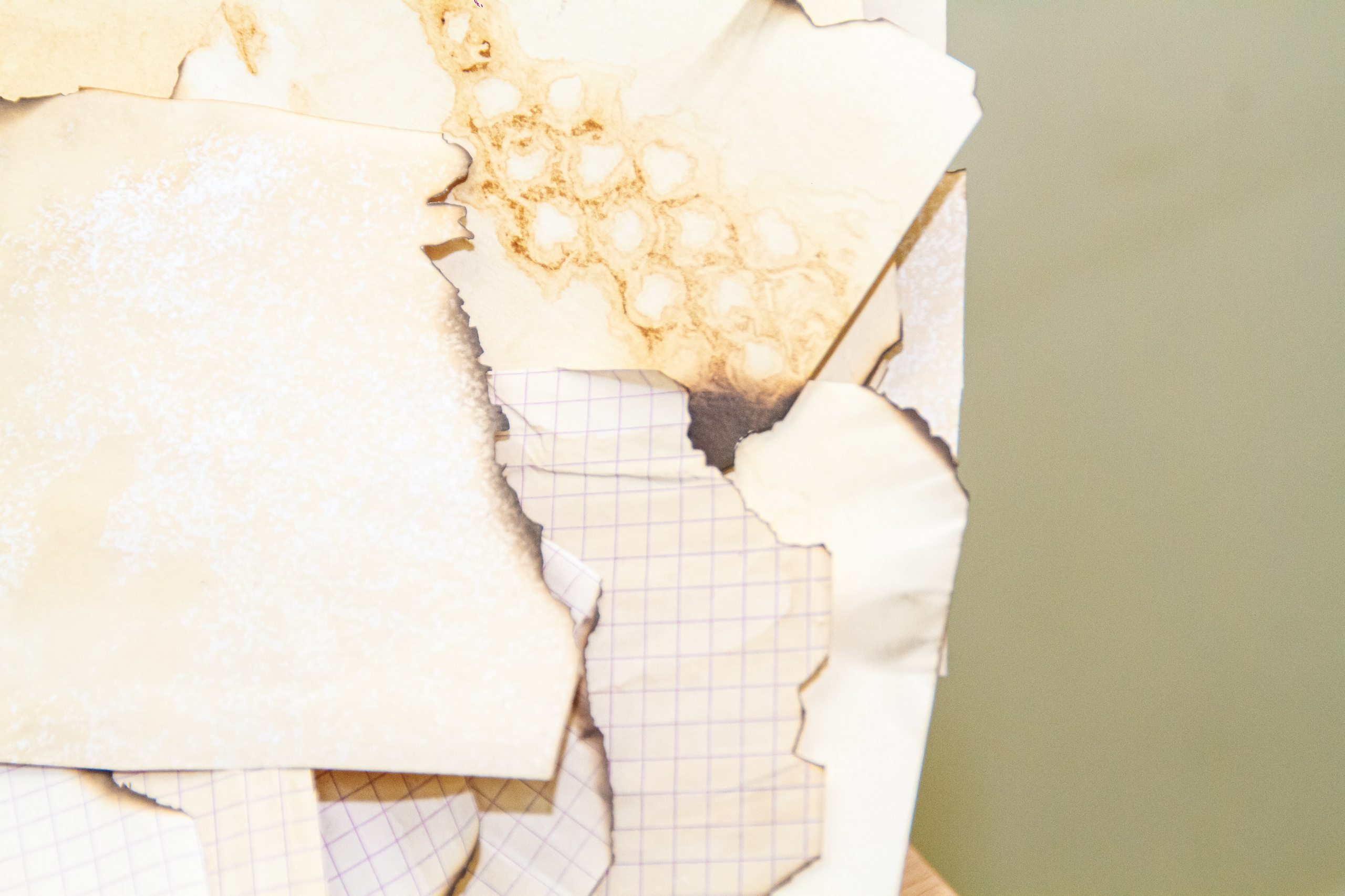 Ночь музеев в Екатеринбургской академии современного искусства2025