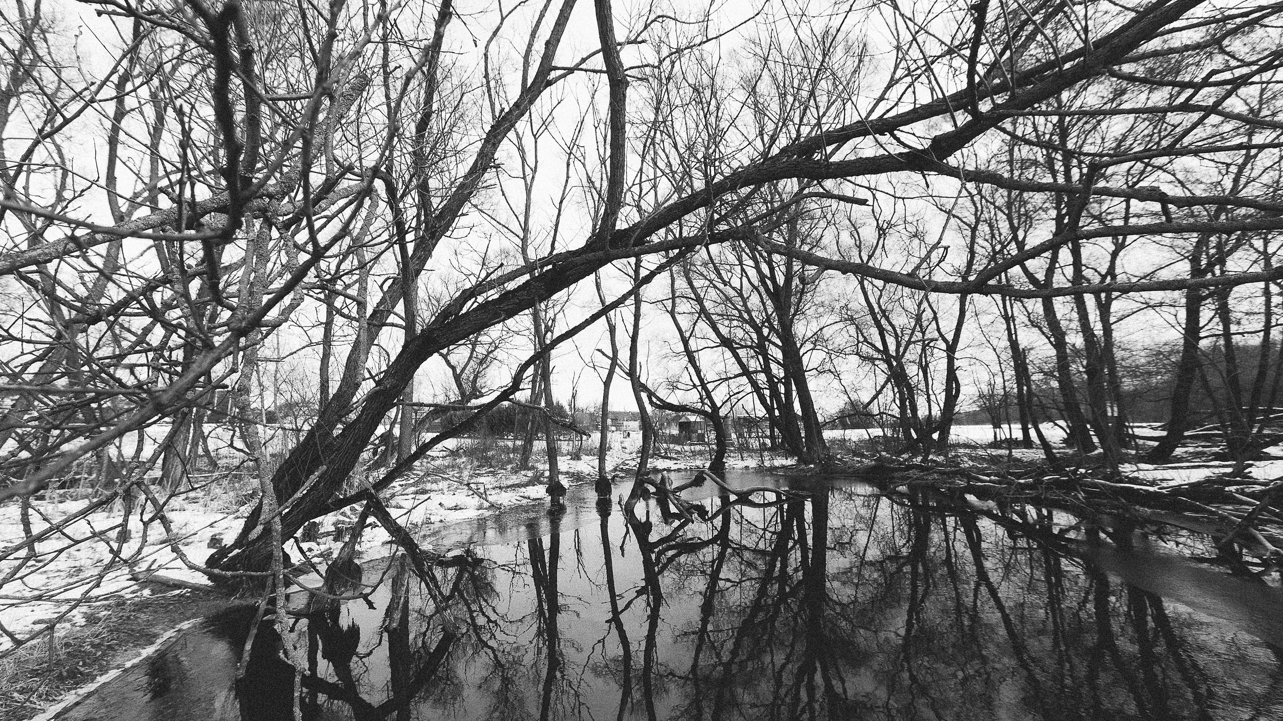 Оператор Аркадий Соболев