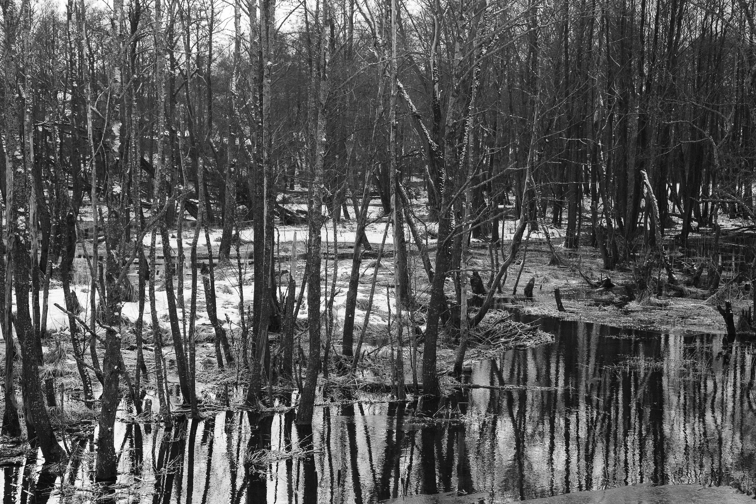 Dissolution. Оператор Аркадий Соболев