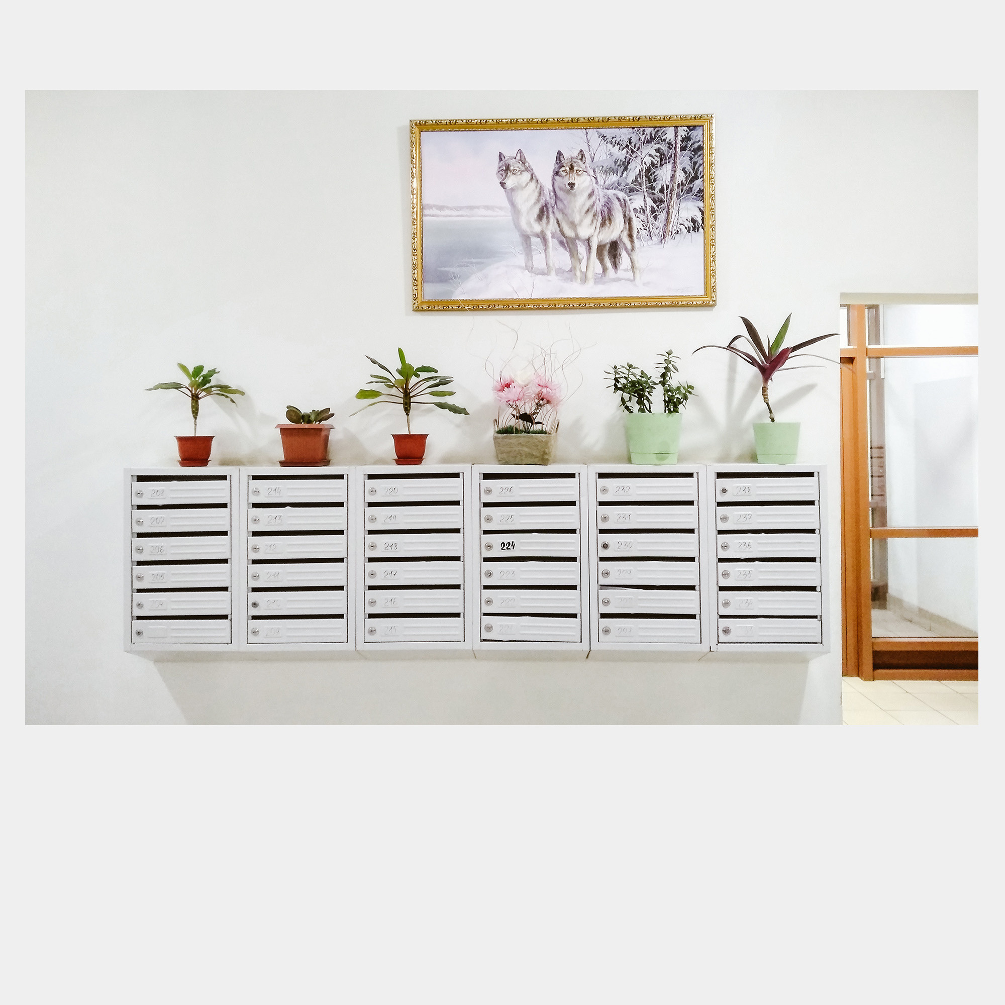 PLRDS. Оператор Аркадий Соболев