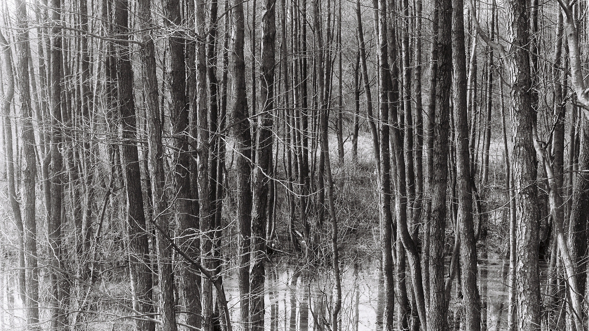 Оператор Аркадий Соболев