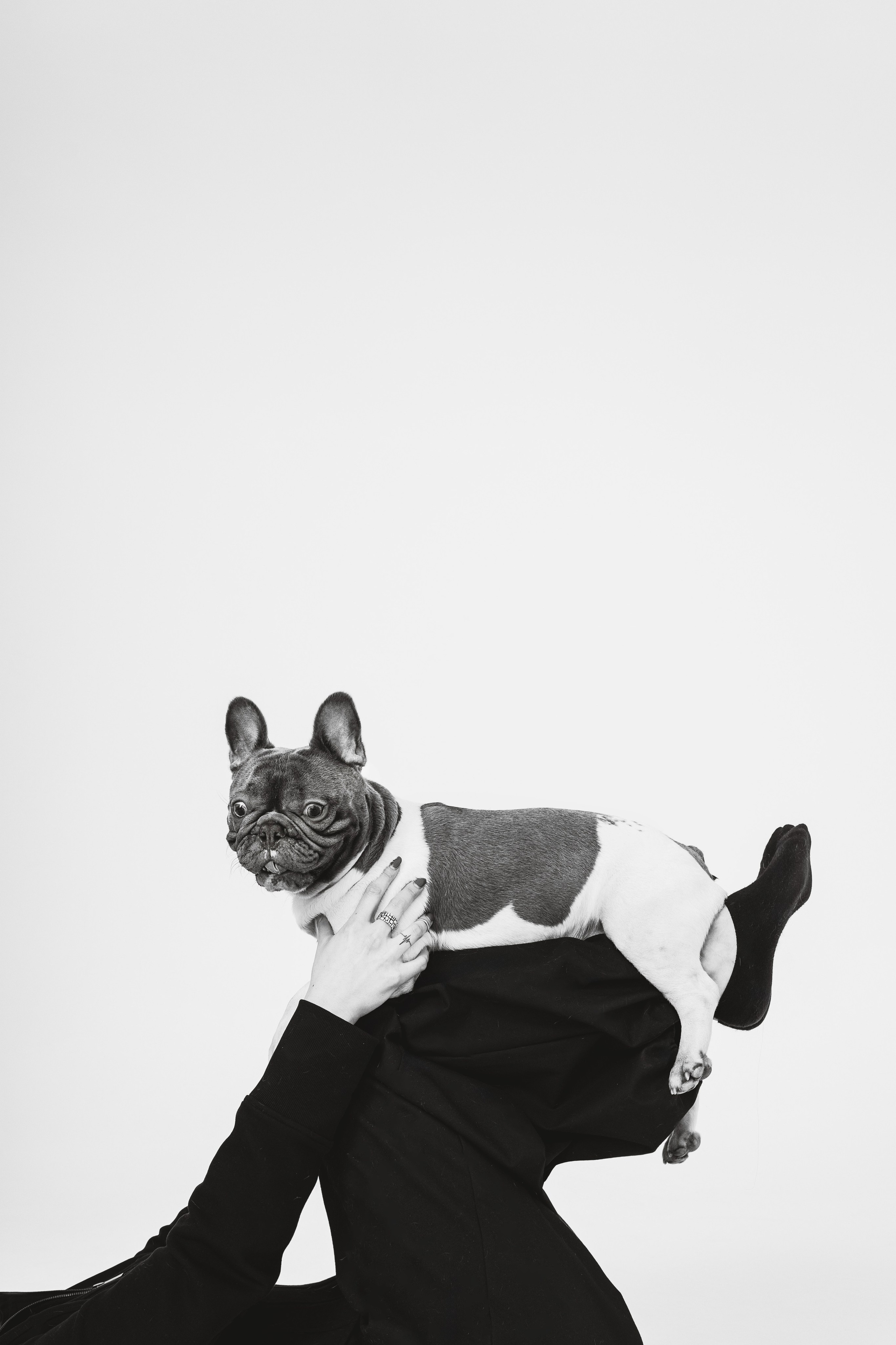 Екатерина, Виталий и Ричи