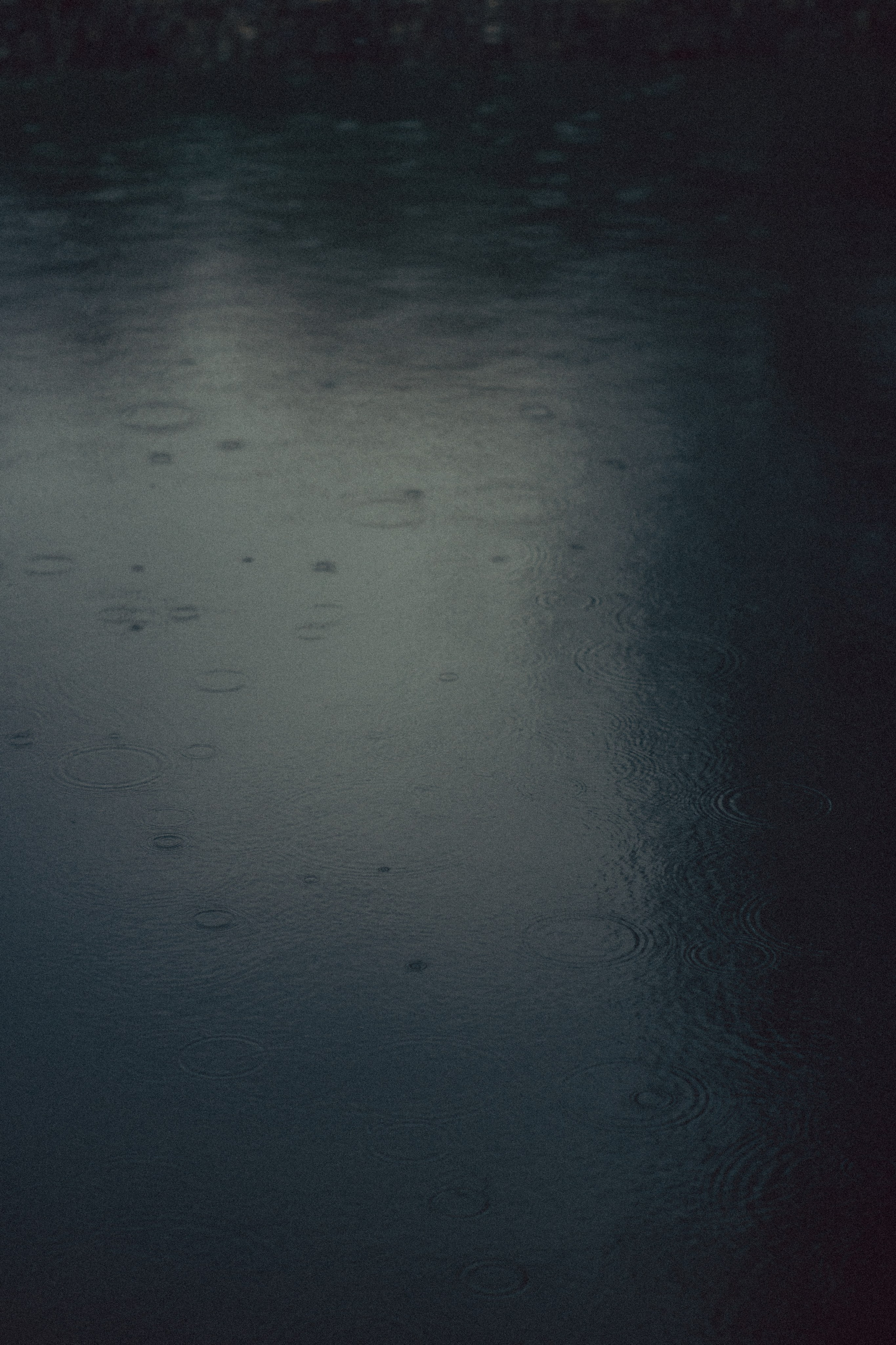 Считать капли дождя, сбиваясь со счета. Фотограф Москва Селюкова Юлия