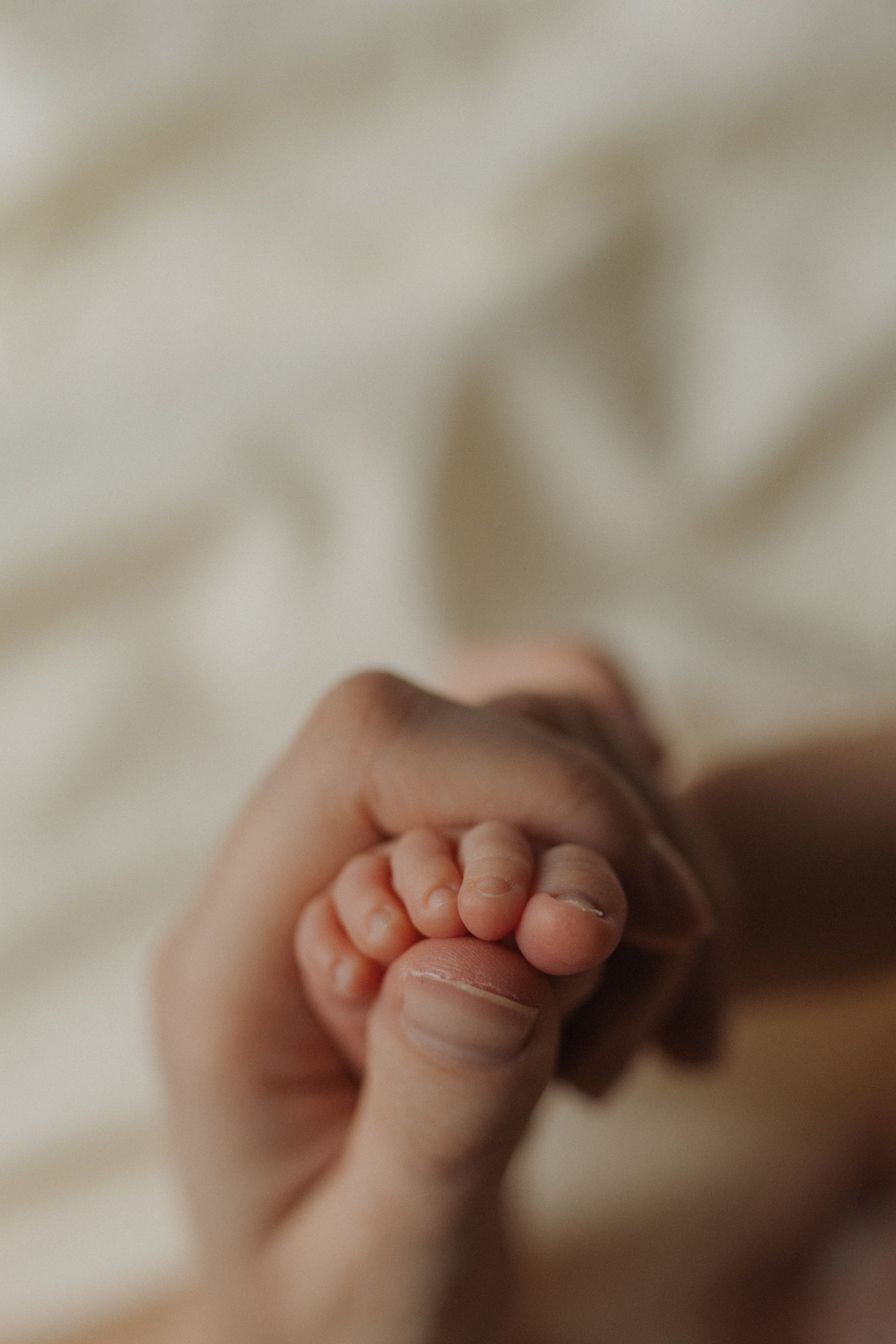 Новорожденные. Главная