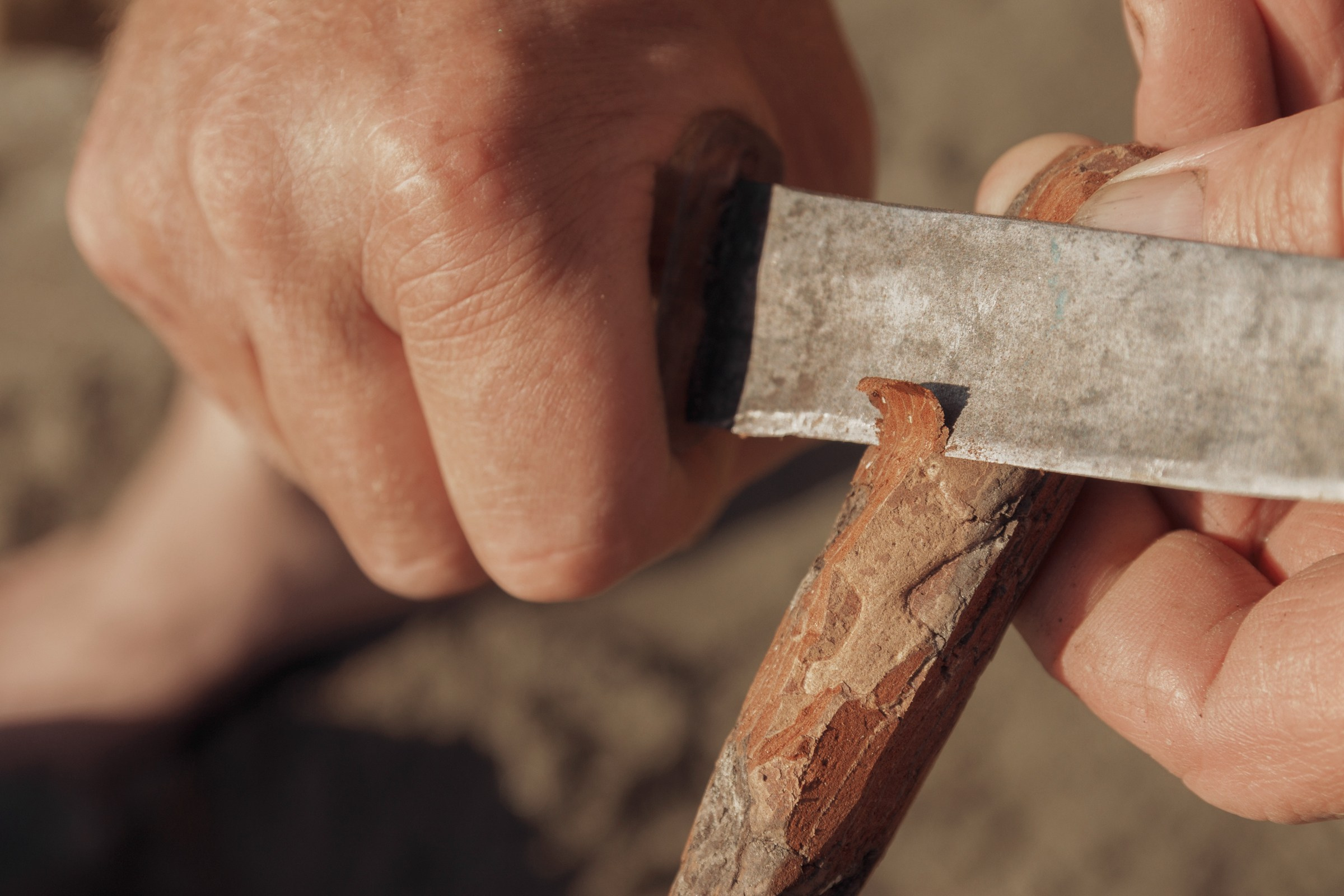 Дед и внук. Детский и семейный фотограф в Бердске и Новосибирске Дарья Гребнева
