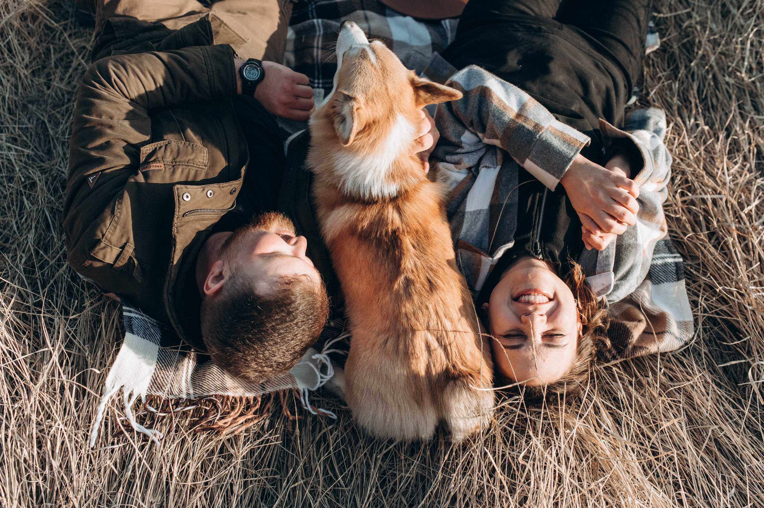 Лёша, Аня и Акс. Свадебный и семейный фотограф в Чите Юлия Оранская