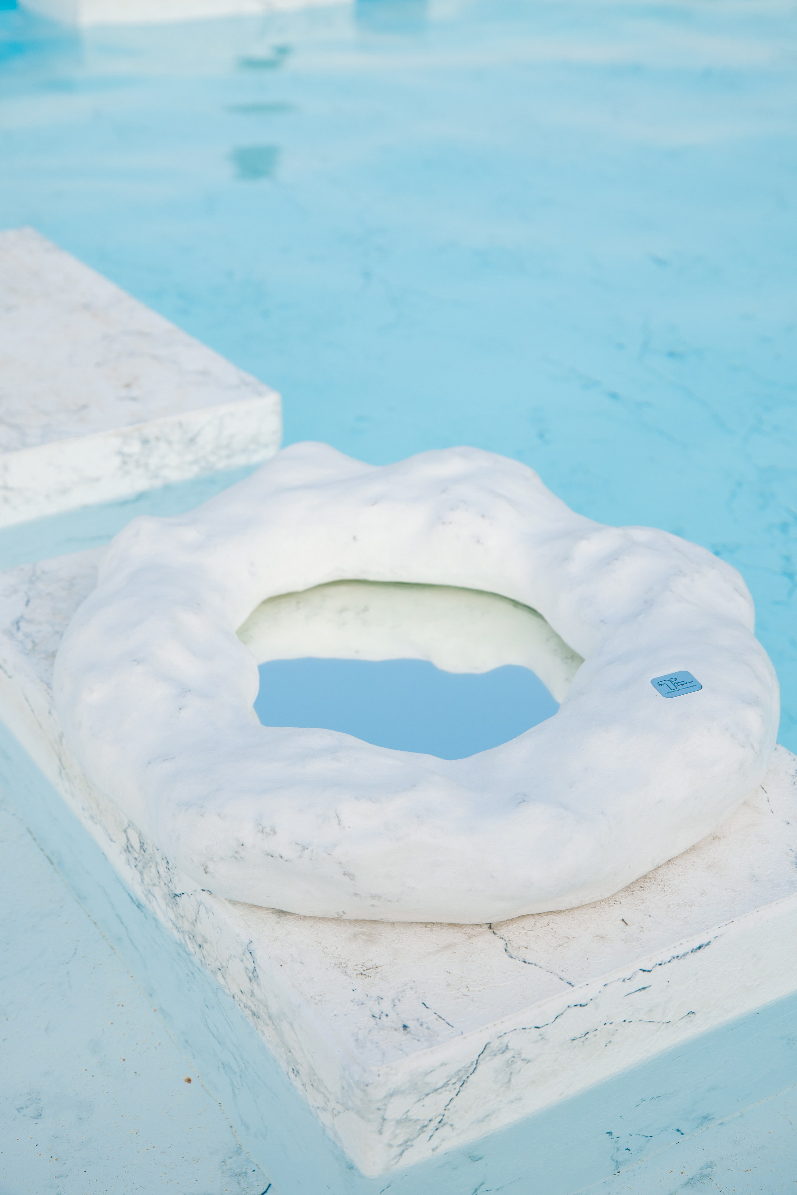 Kseniya Torgashina Designer. Фотограф на Юге России