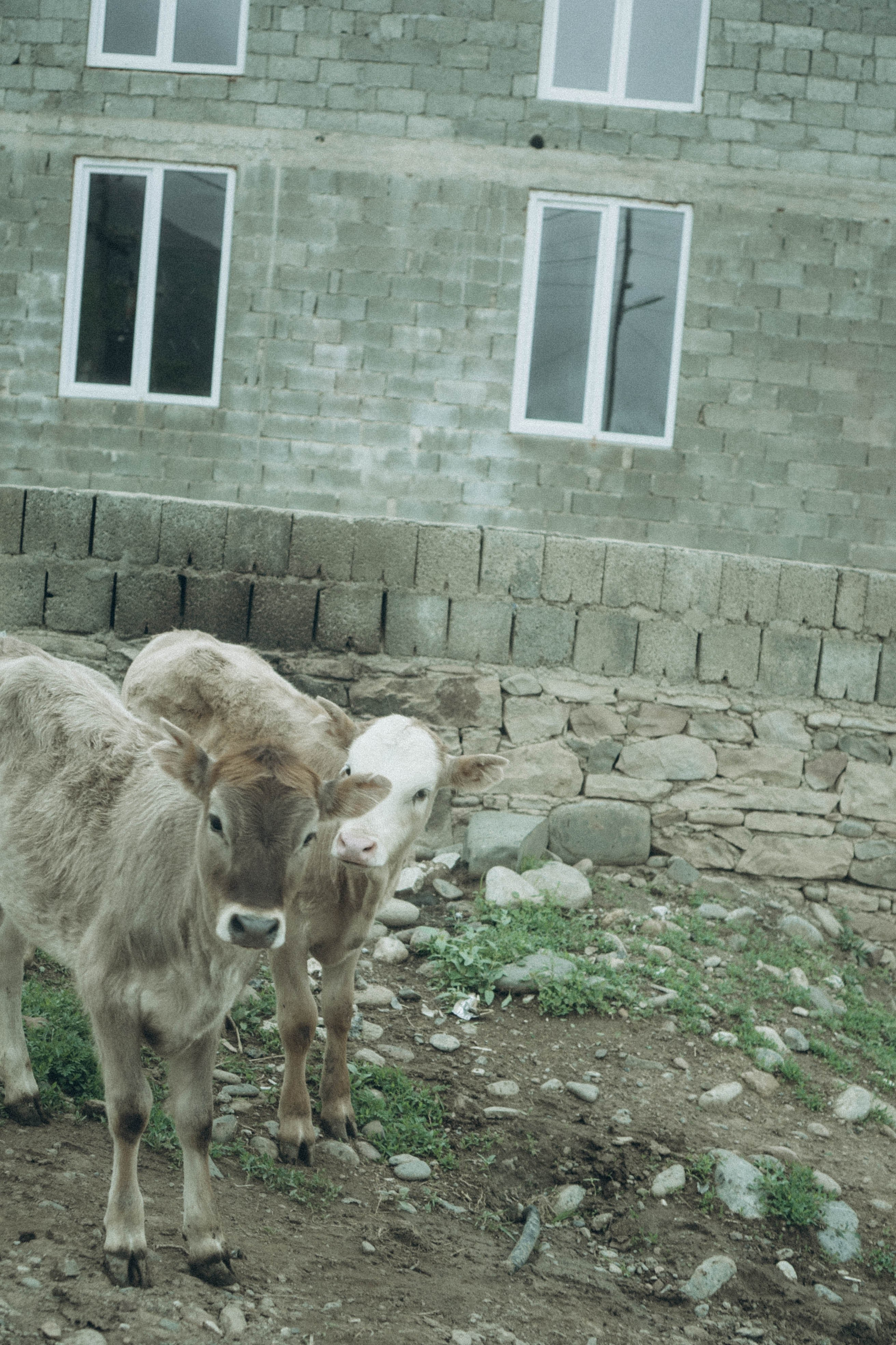 Кавказ. Профессиональный фотограф, Санкт-Петербург — Виктория Богомолова