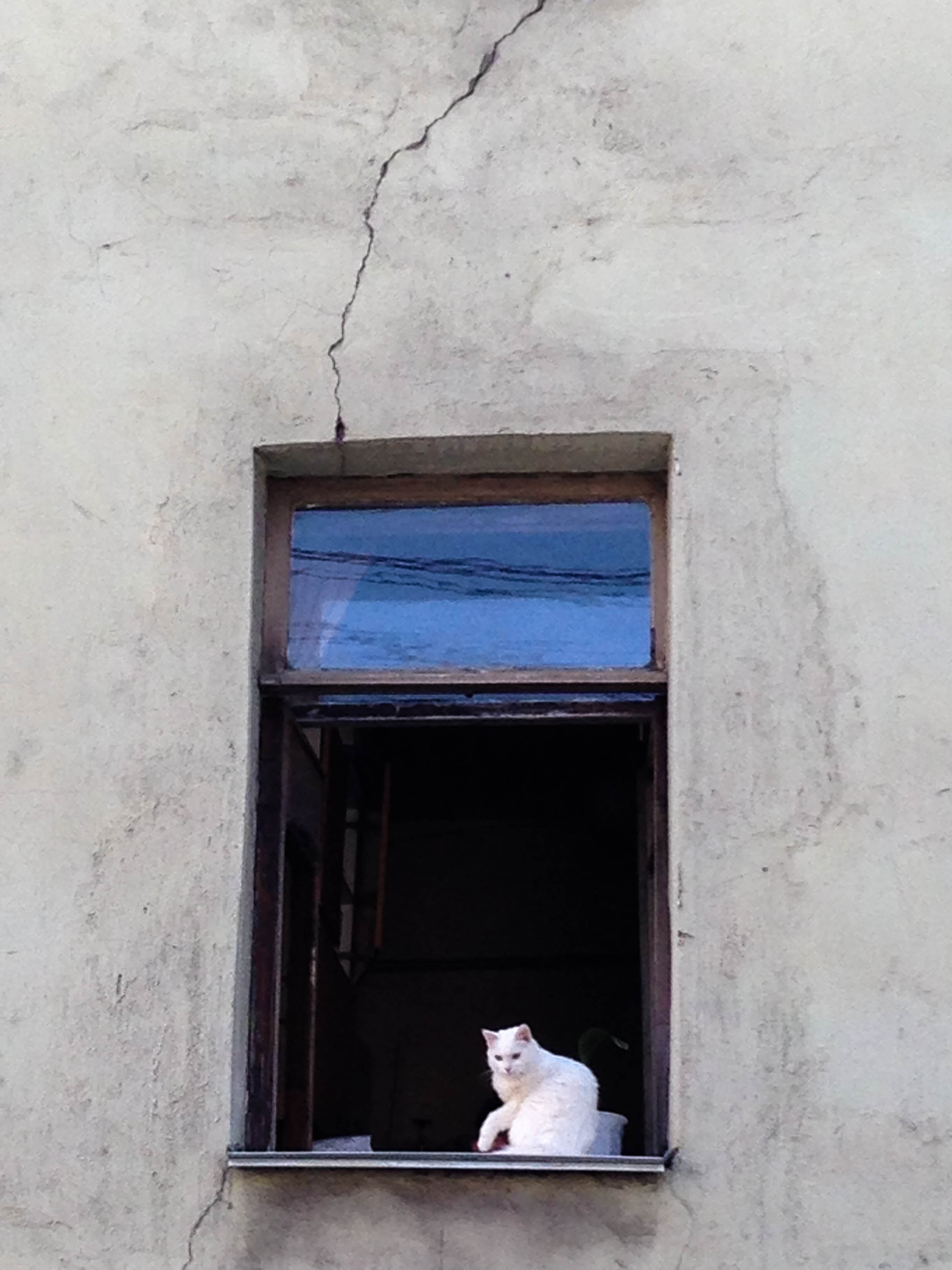 Санкт-Петербург. Фотограф Балаев Михаил