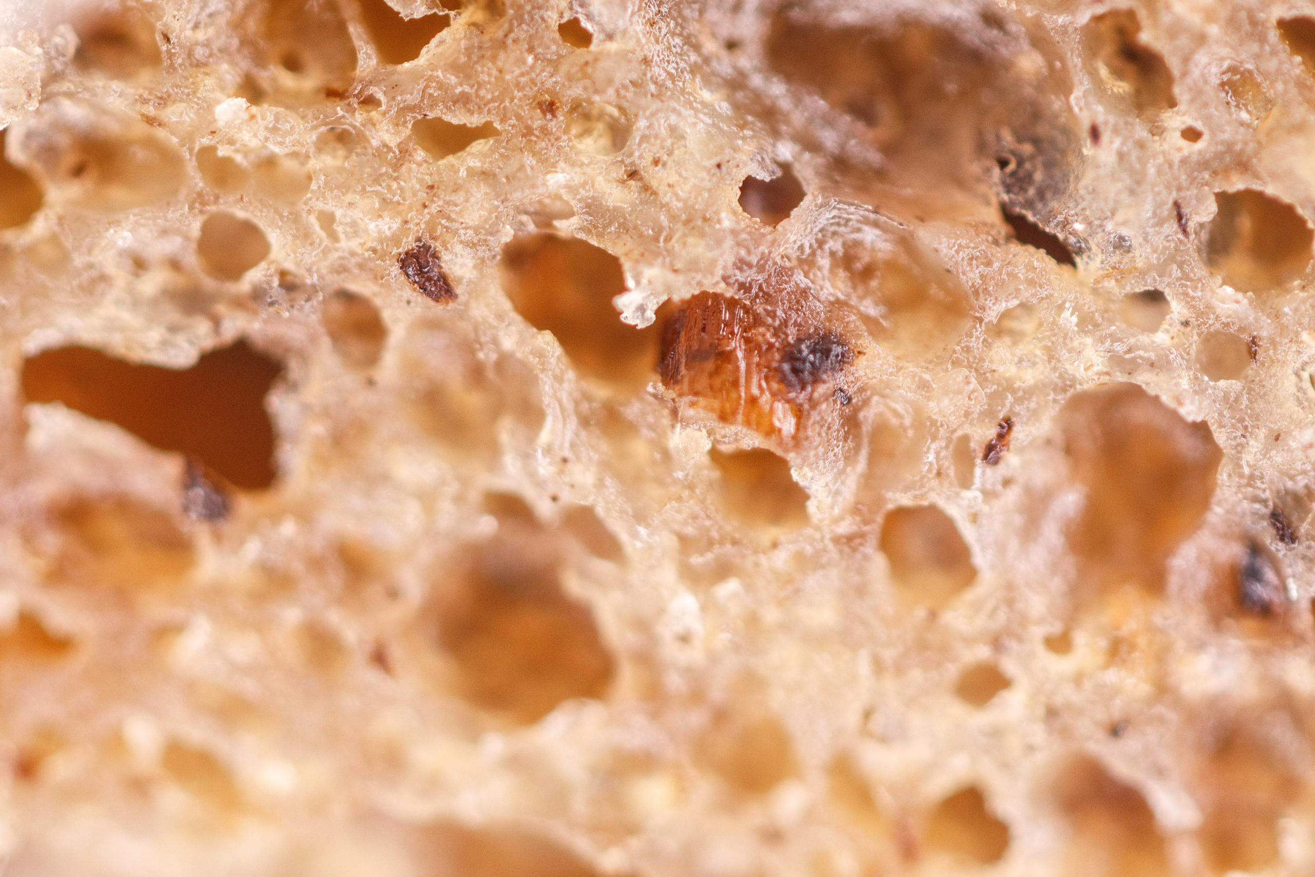 Макро съемка. Фотограф Балаев Михаил