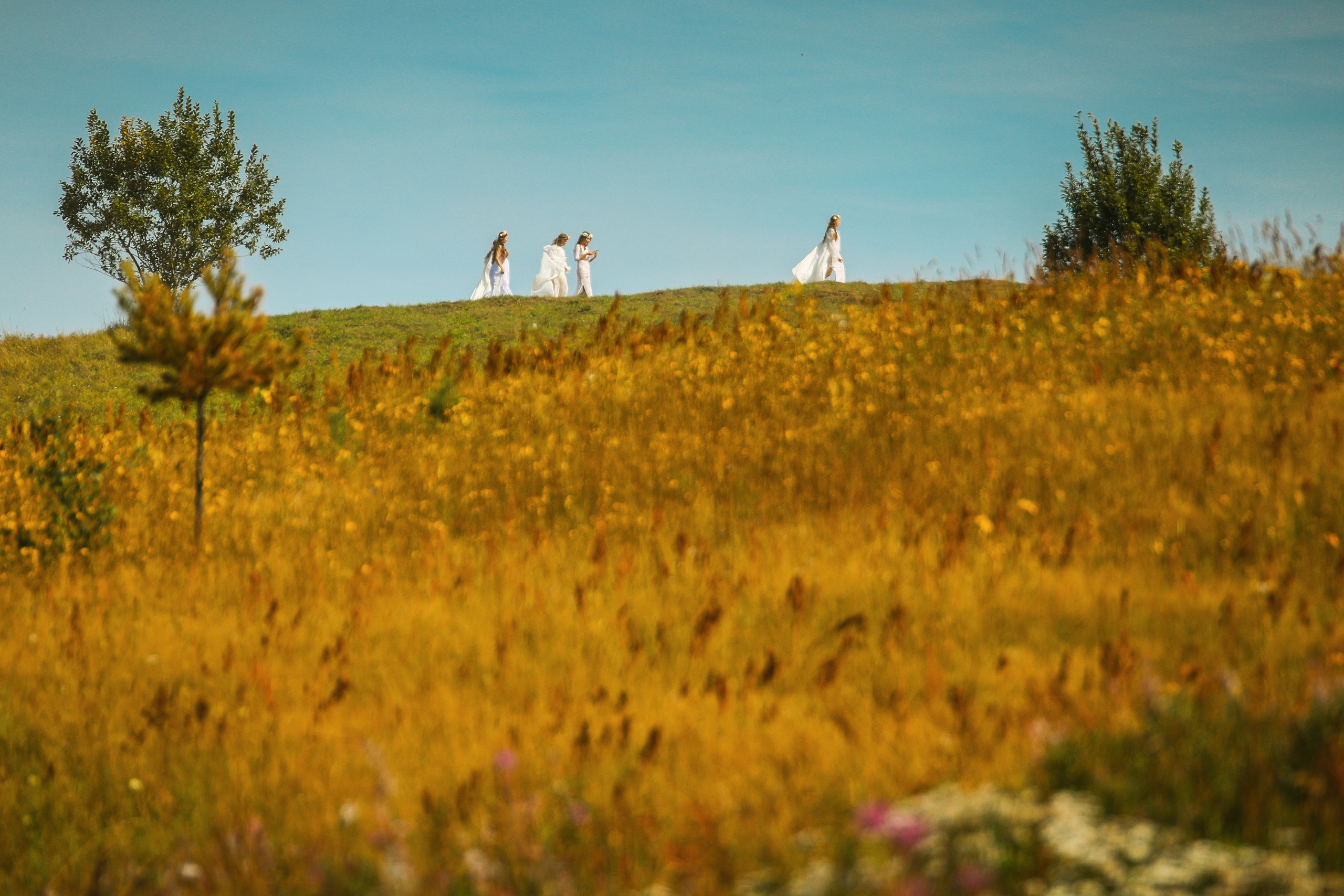 Пейзаж. Фотограф Балаев Михаил