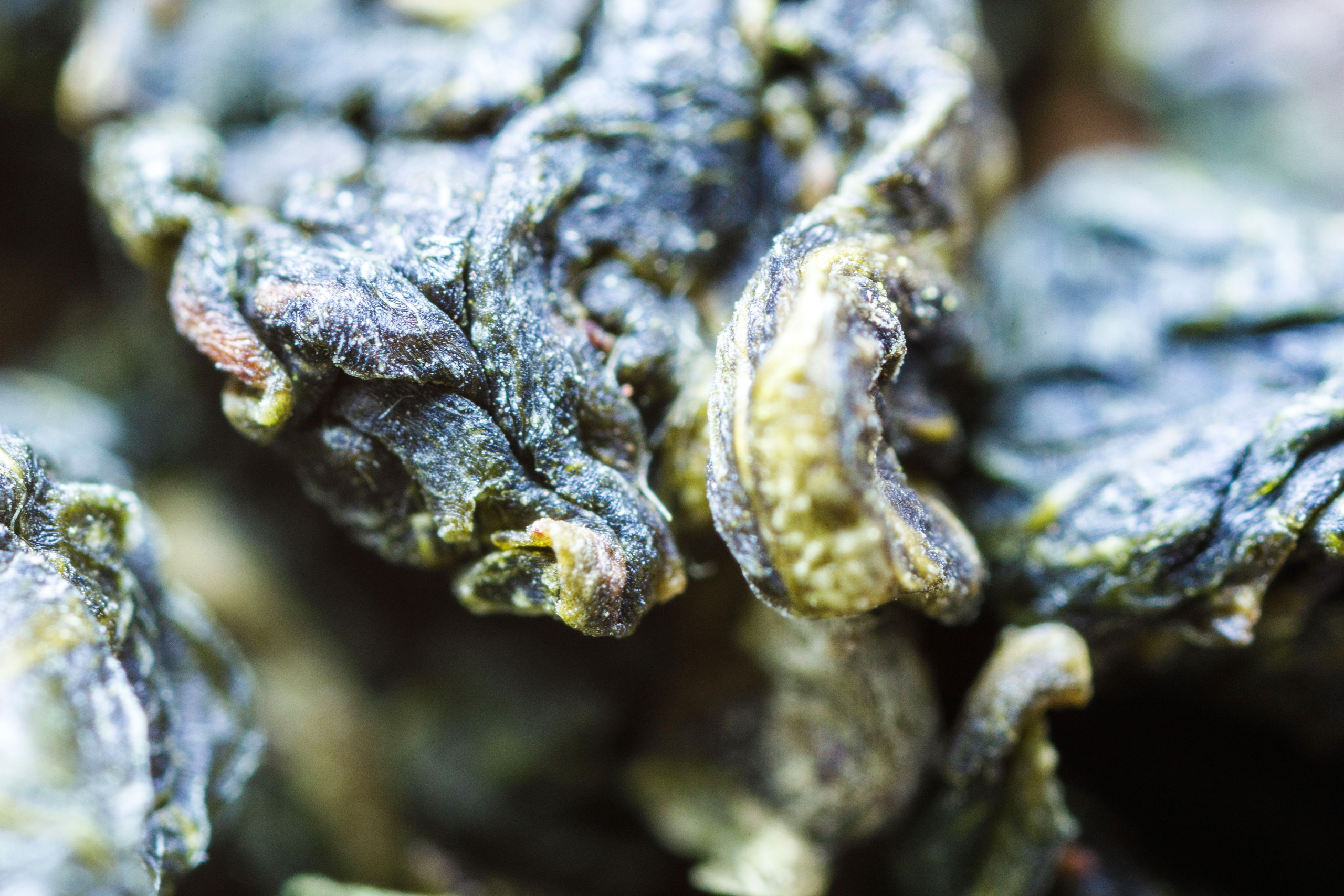 Макро съемка. Фотограф Балаев Михаил