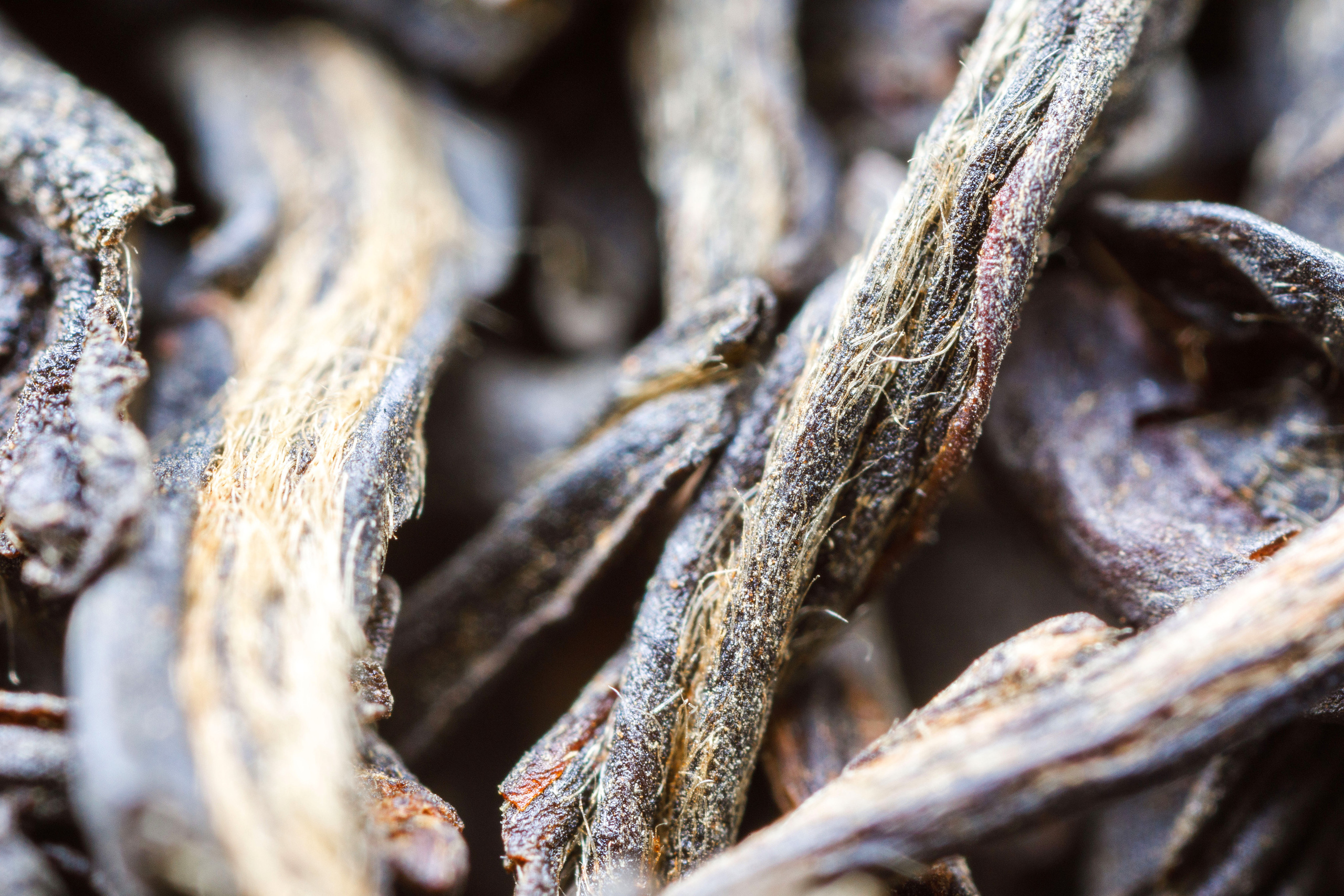 Макро съемка. Фотограф Балаев Михаил