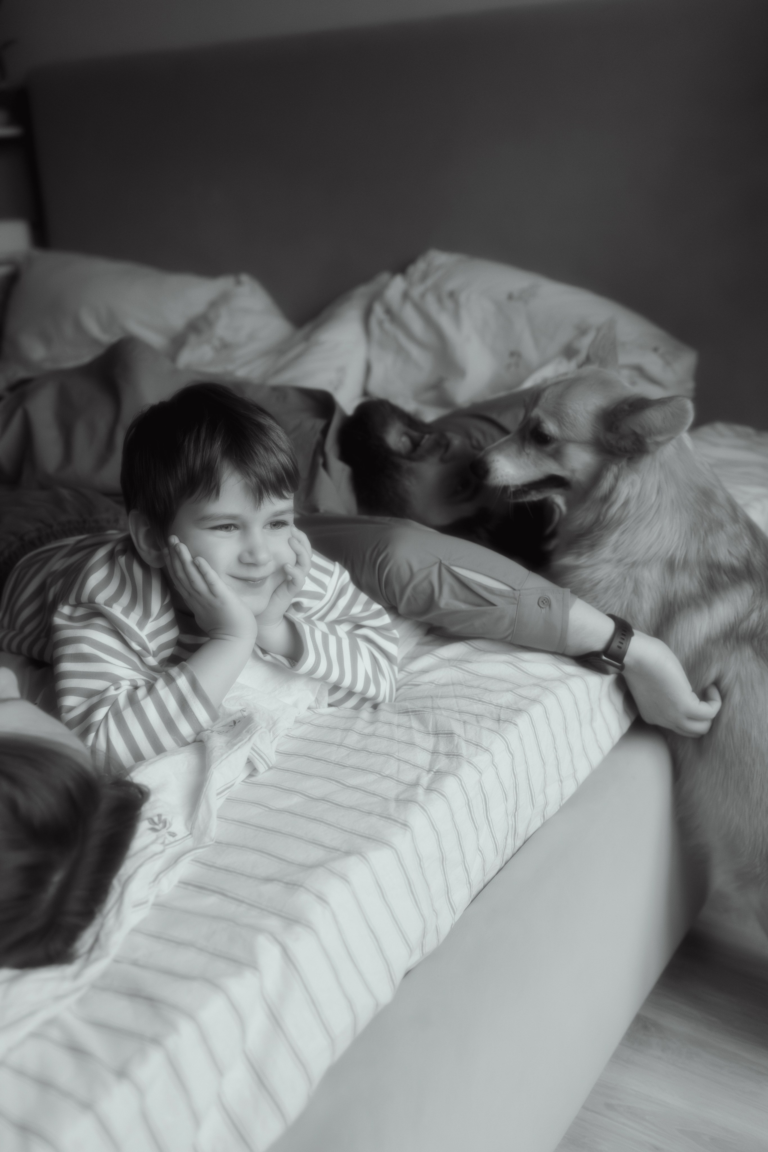 Домашняя история. Семейный фотограф Москва Юлиана Фетисова