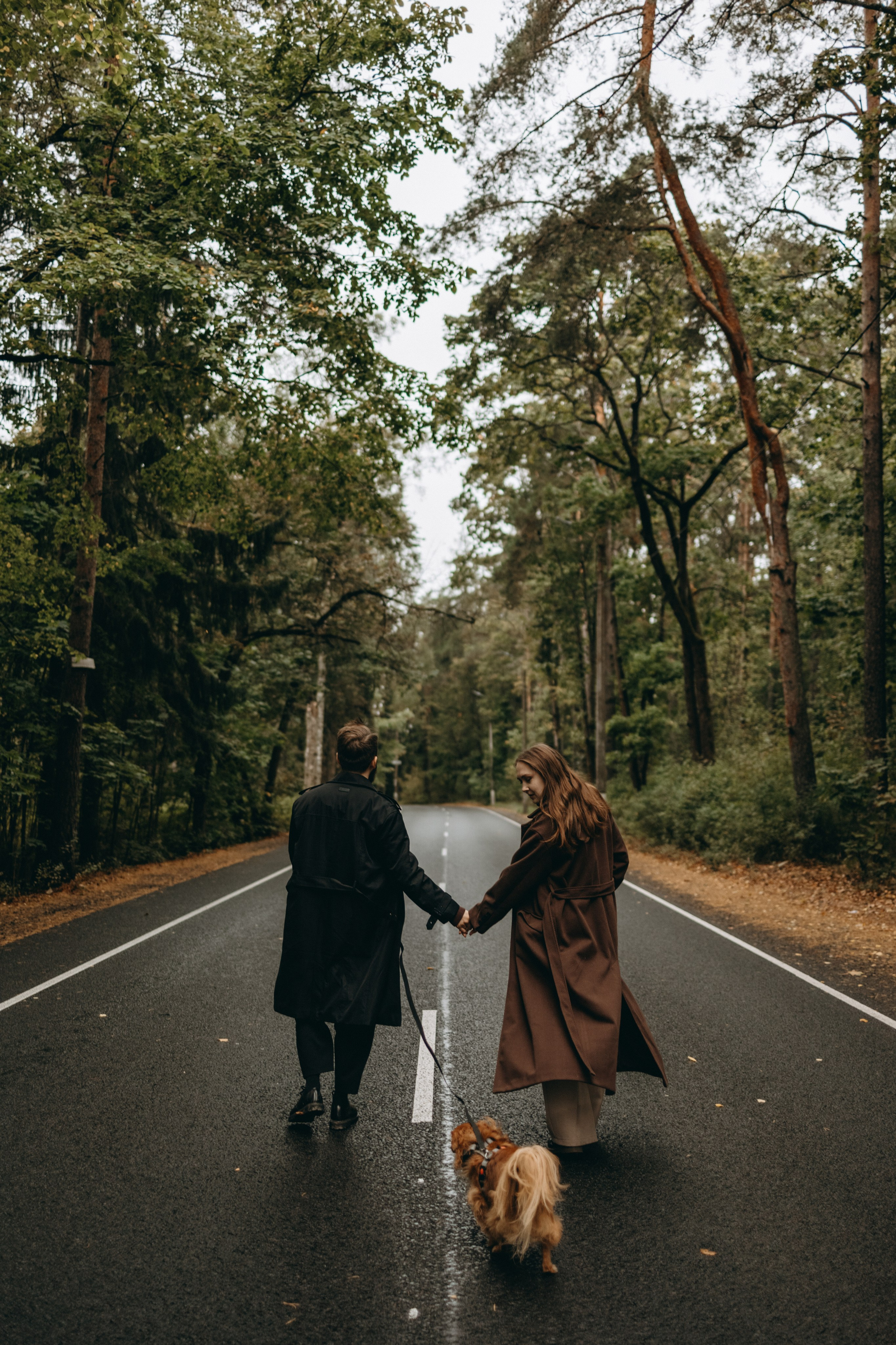 Пресеты. Фотограф — Анималист | Санкт-Петербург