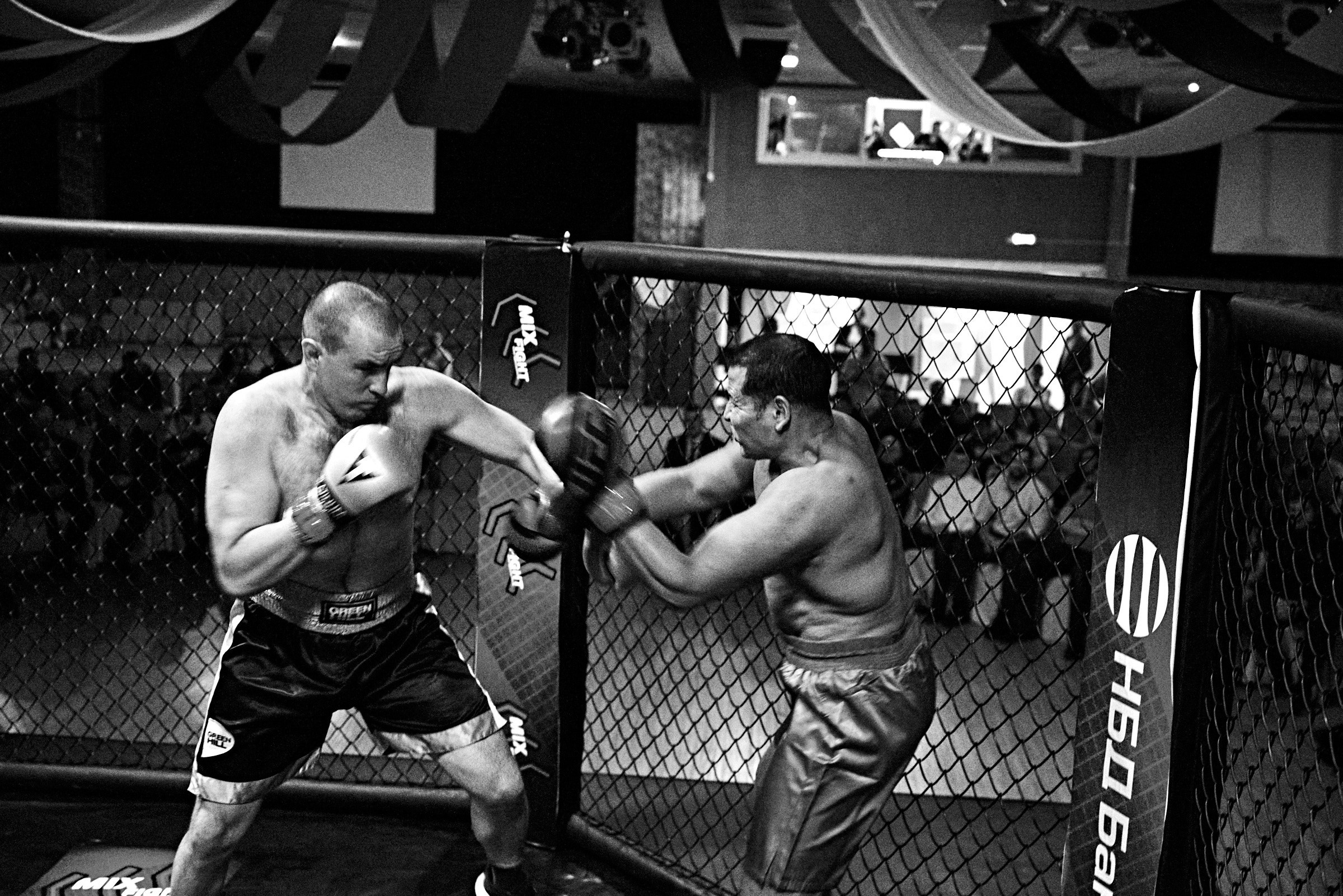 Бои. Маляревич Дмитрий свадебный фотограф