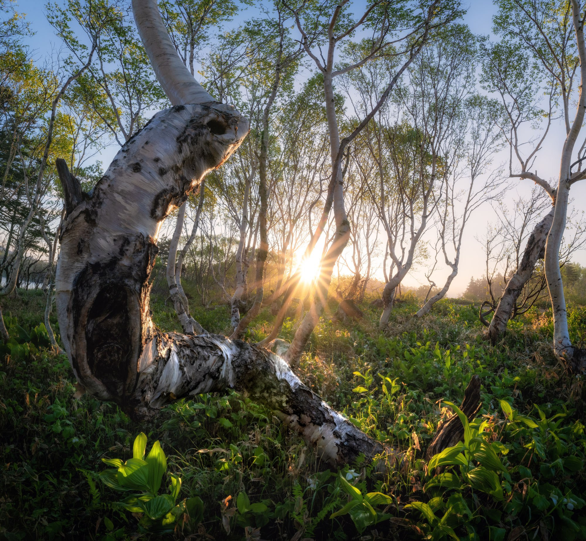 Фотографии южные Курилы