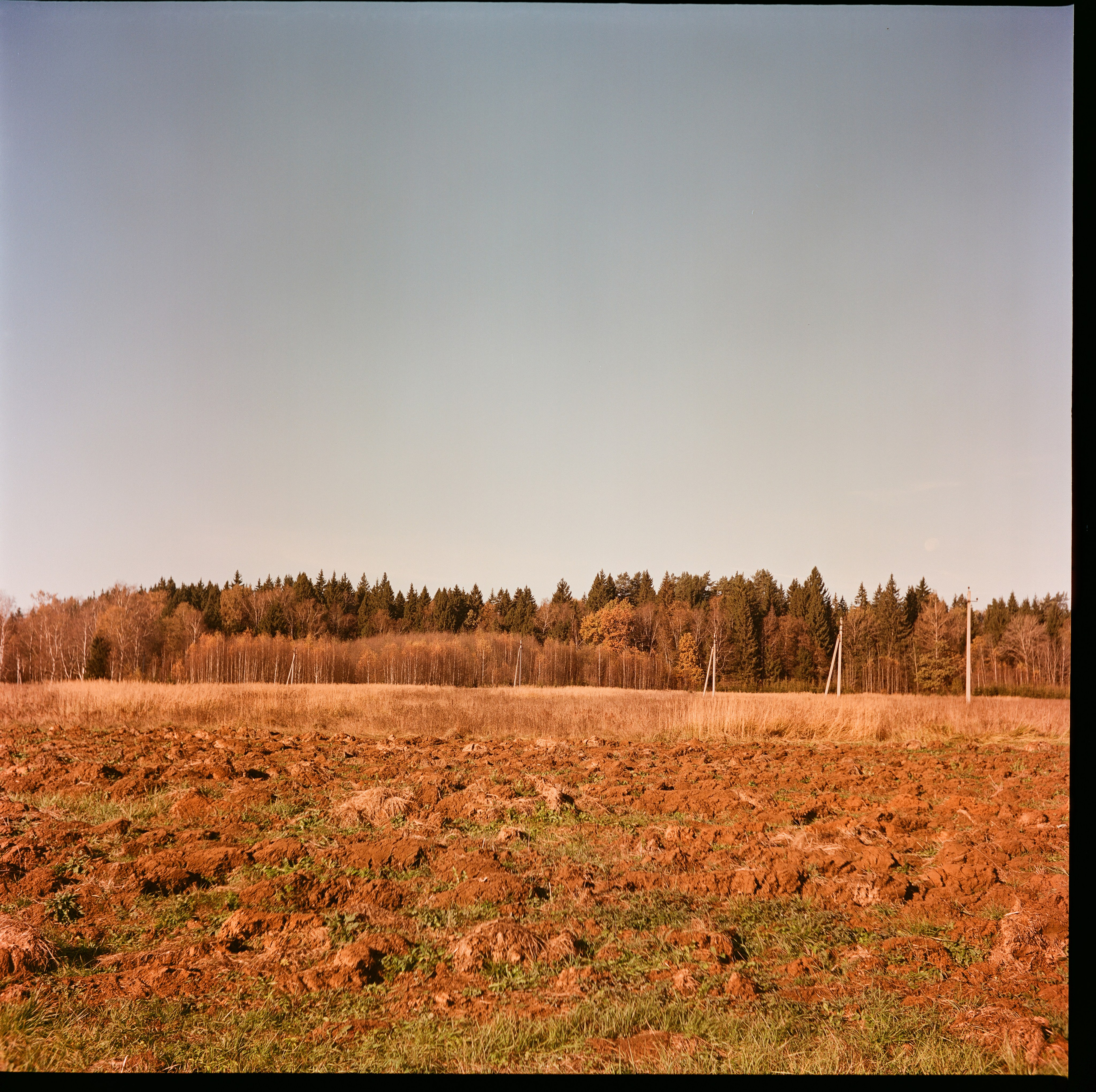 Yashica 635 / Kodak Aerocolor IV / октябрь 2024 года Лукино