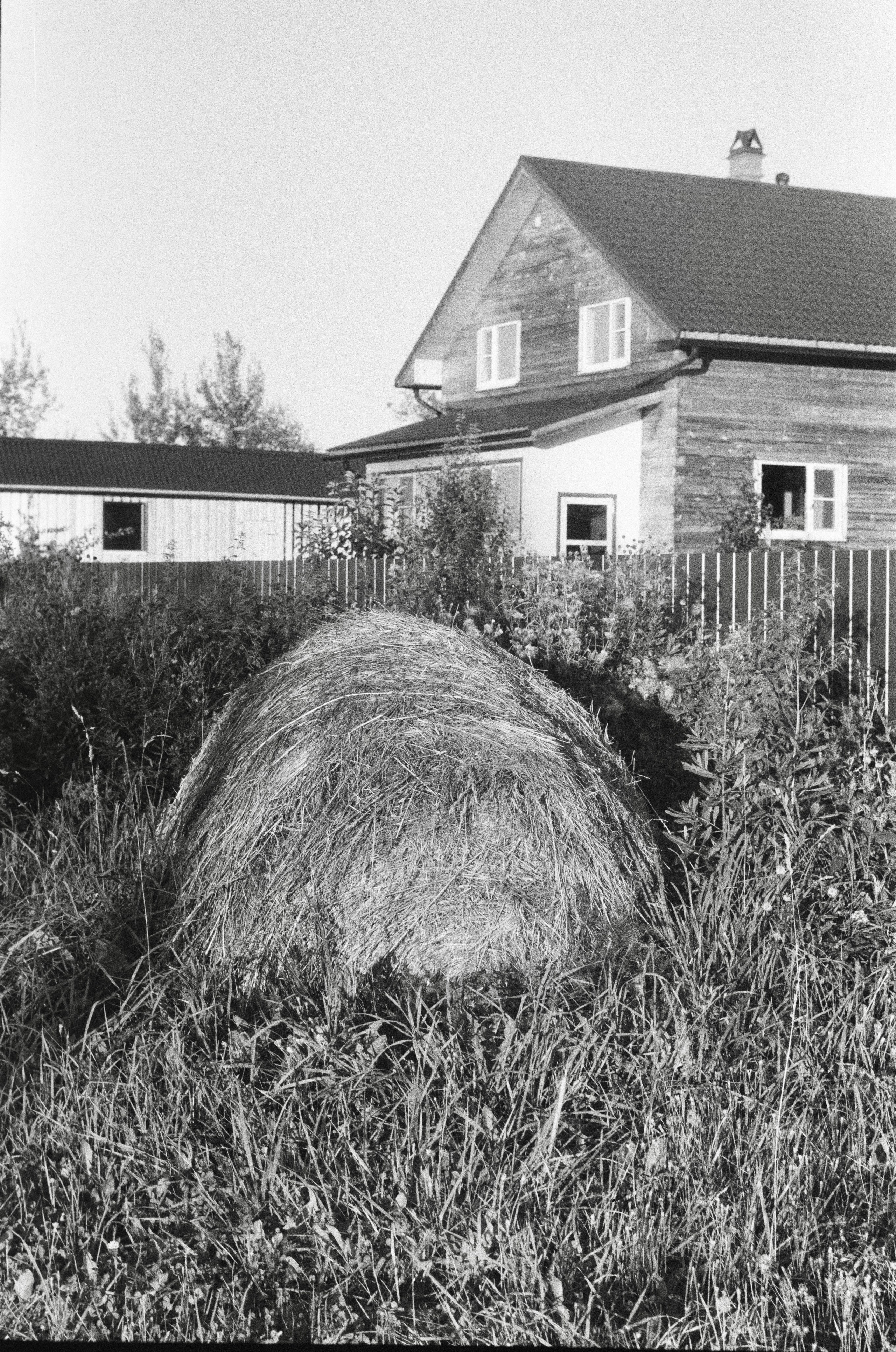 Чб пленка. Событийный фотограф в Москве Юлия Папиянц