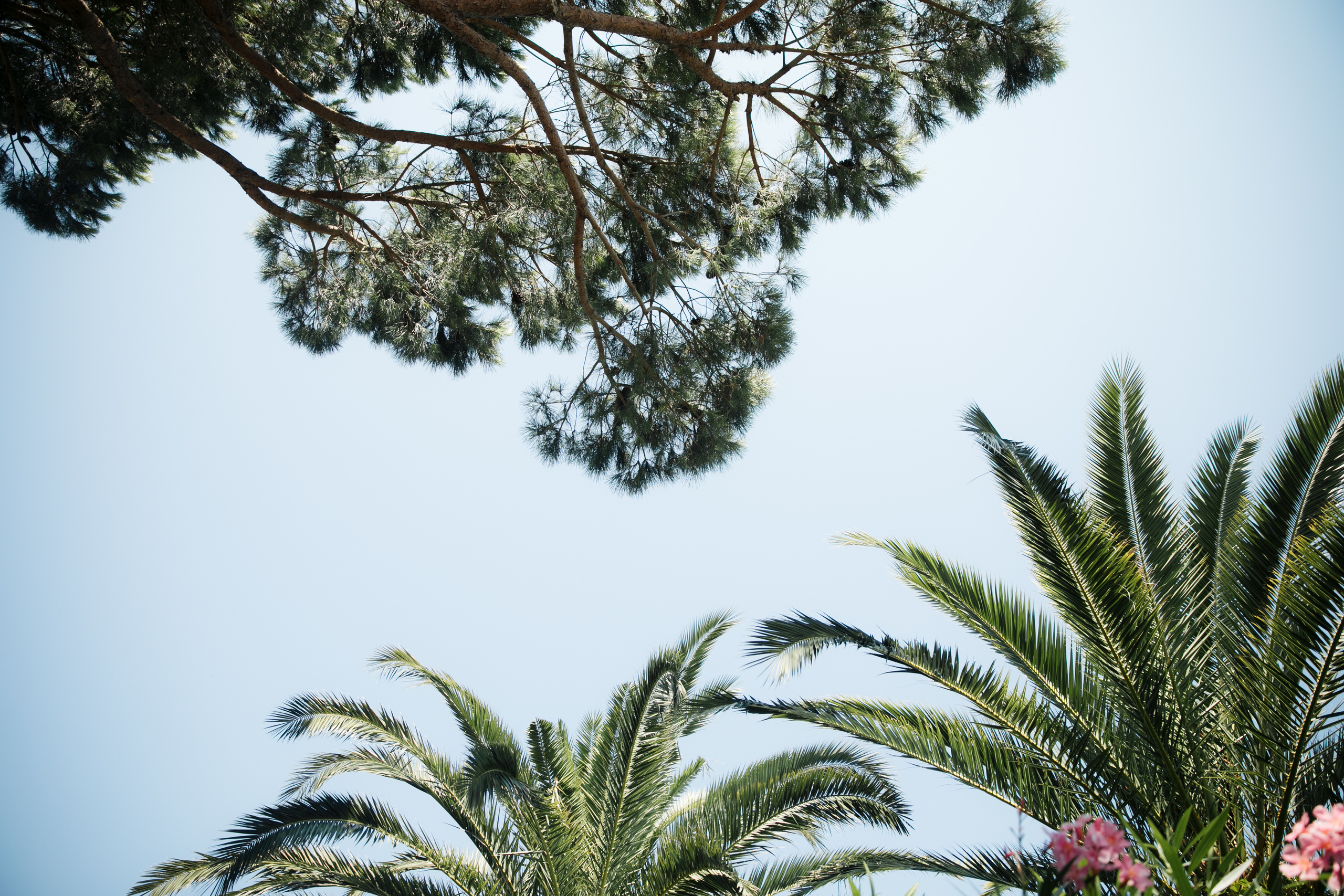 William & Elen 2018 France. Wedding and family photographer in Moscow