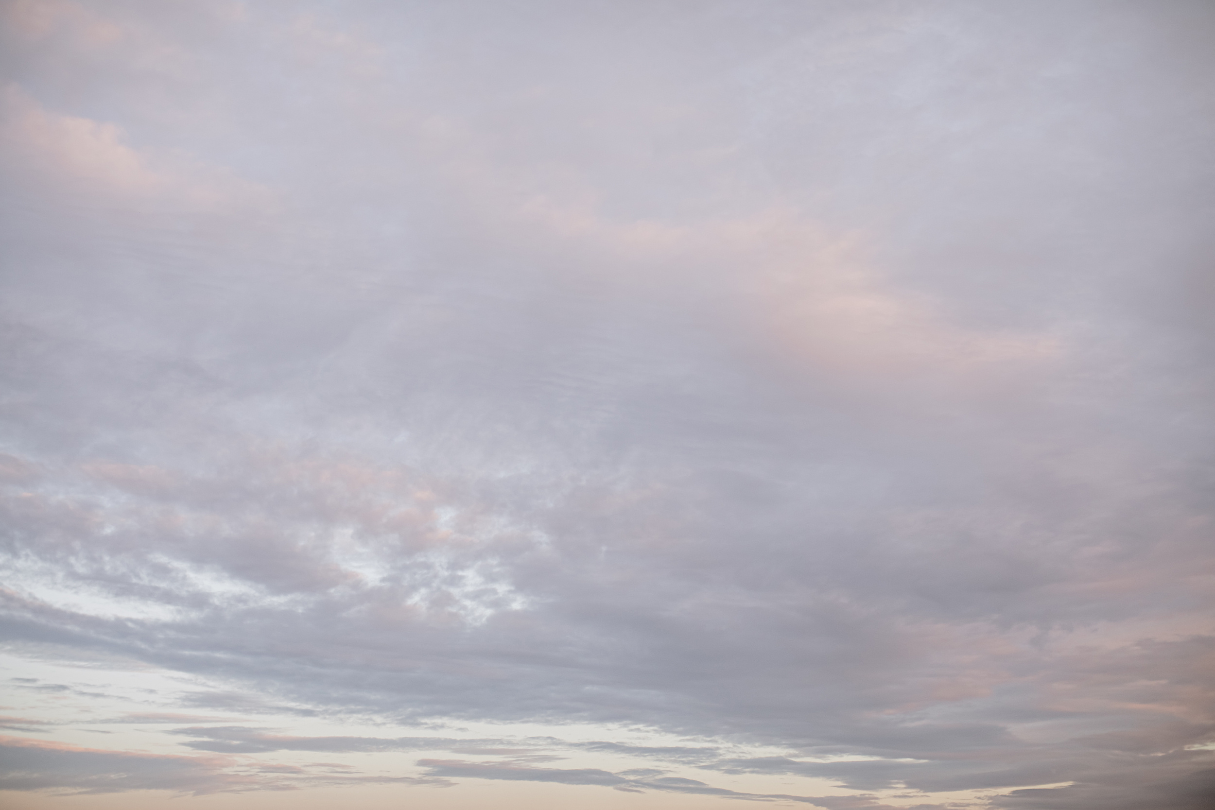 Grigory & Yana 2020 Moscow. Свадебный и семейный фотограф в Москве