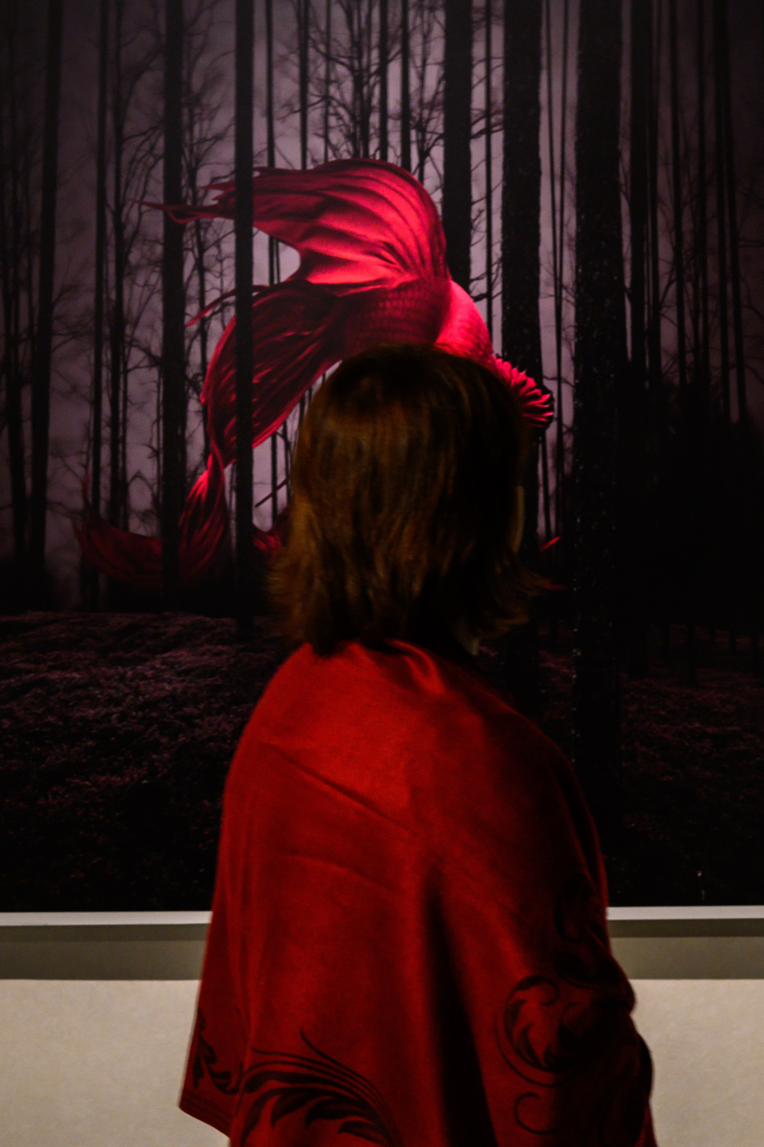 Dimitri Bakhtadze, colour photos. Dimitri Bakhtadze photographer