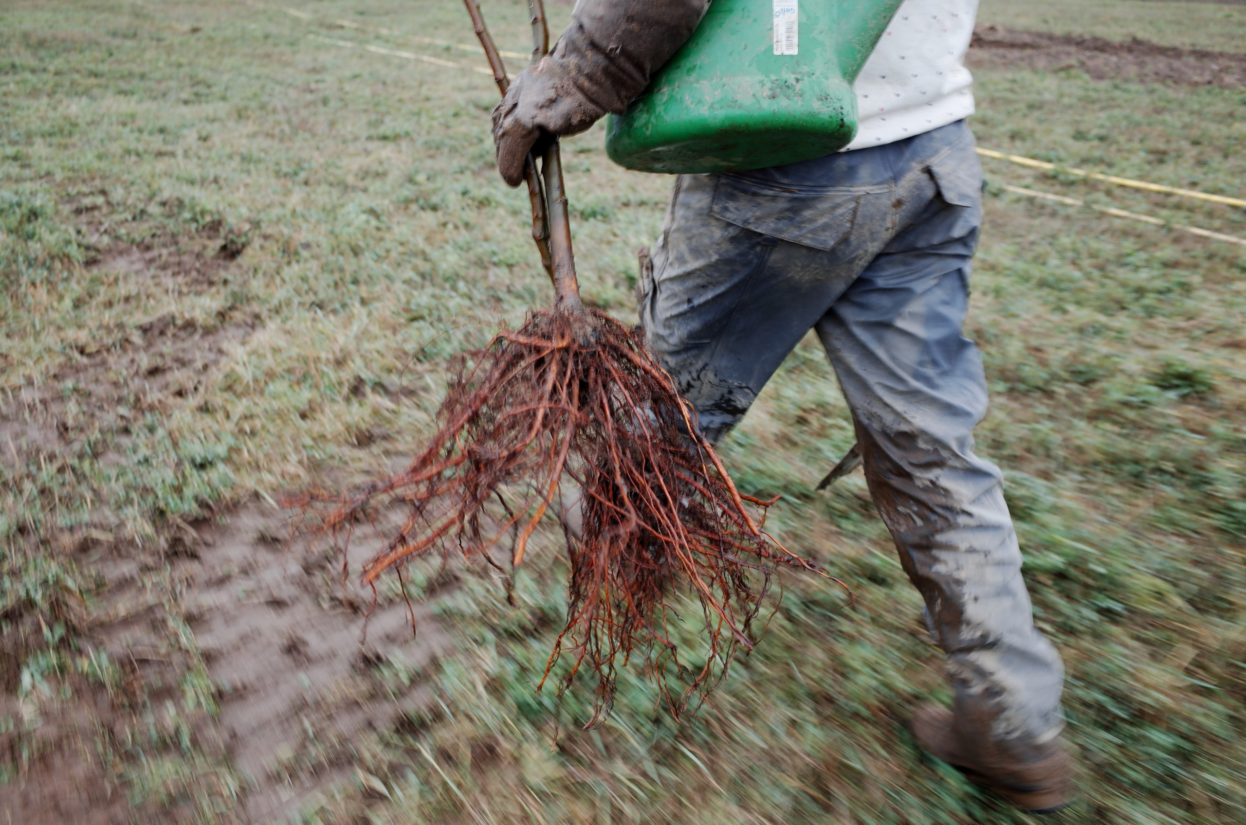 Farmers. Aleksander Chernov — Documentary filmmaker and photographer