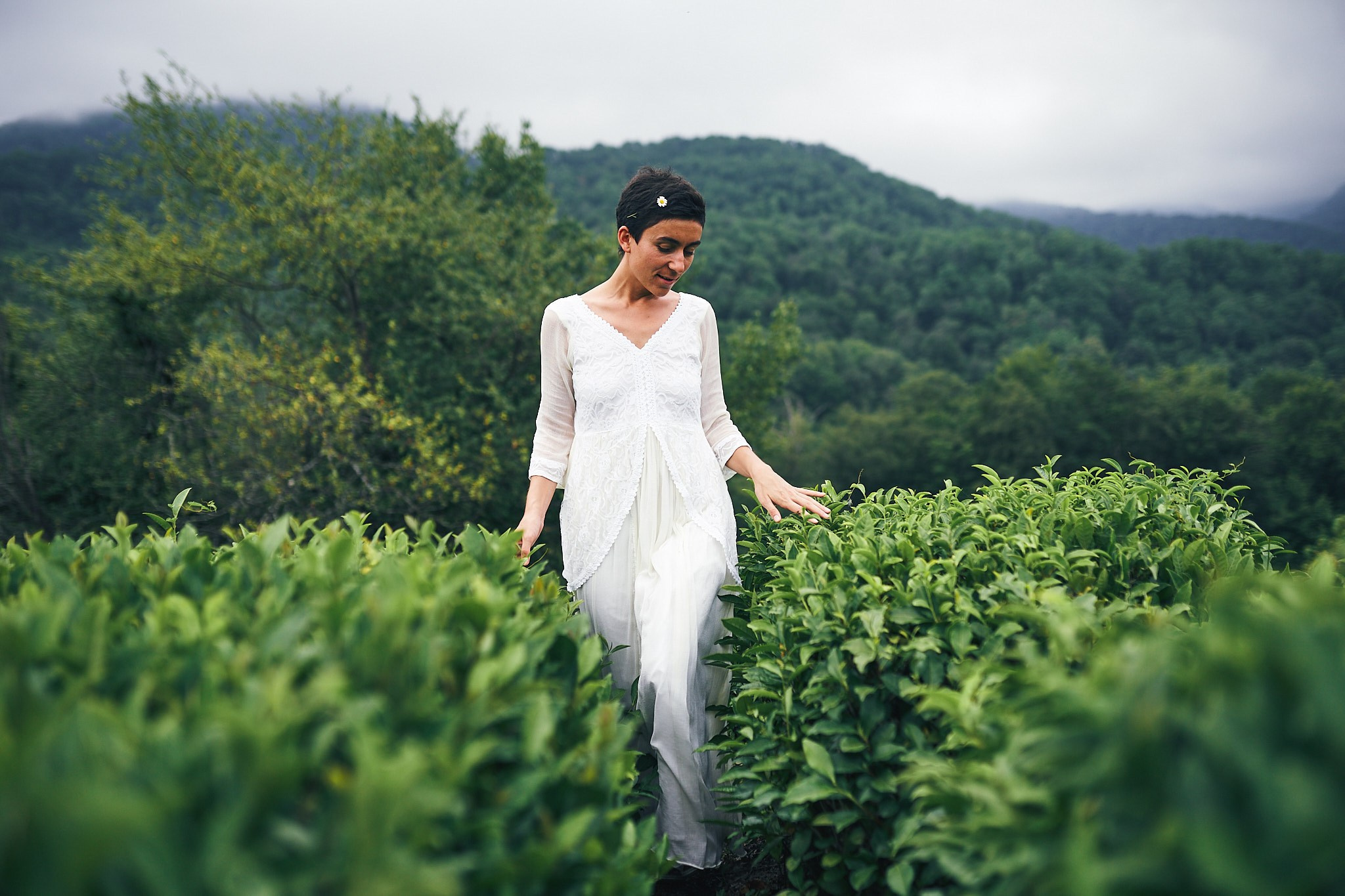 Чайные плантации. Фотограф в Сочи Катя Гончарова