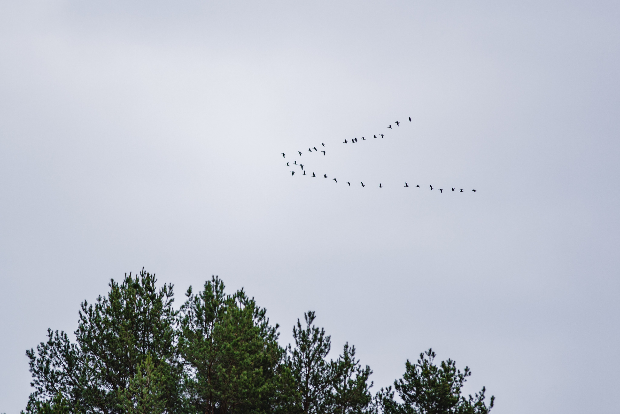 Весна. Фотограф в Ветлуге Сергей Белов (VETLUGA B.S.)