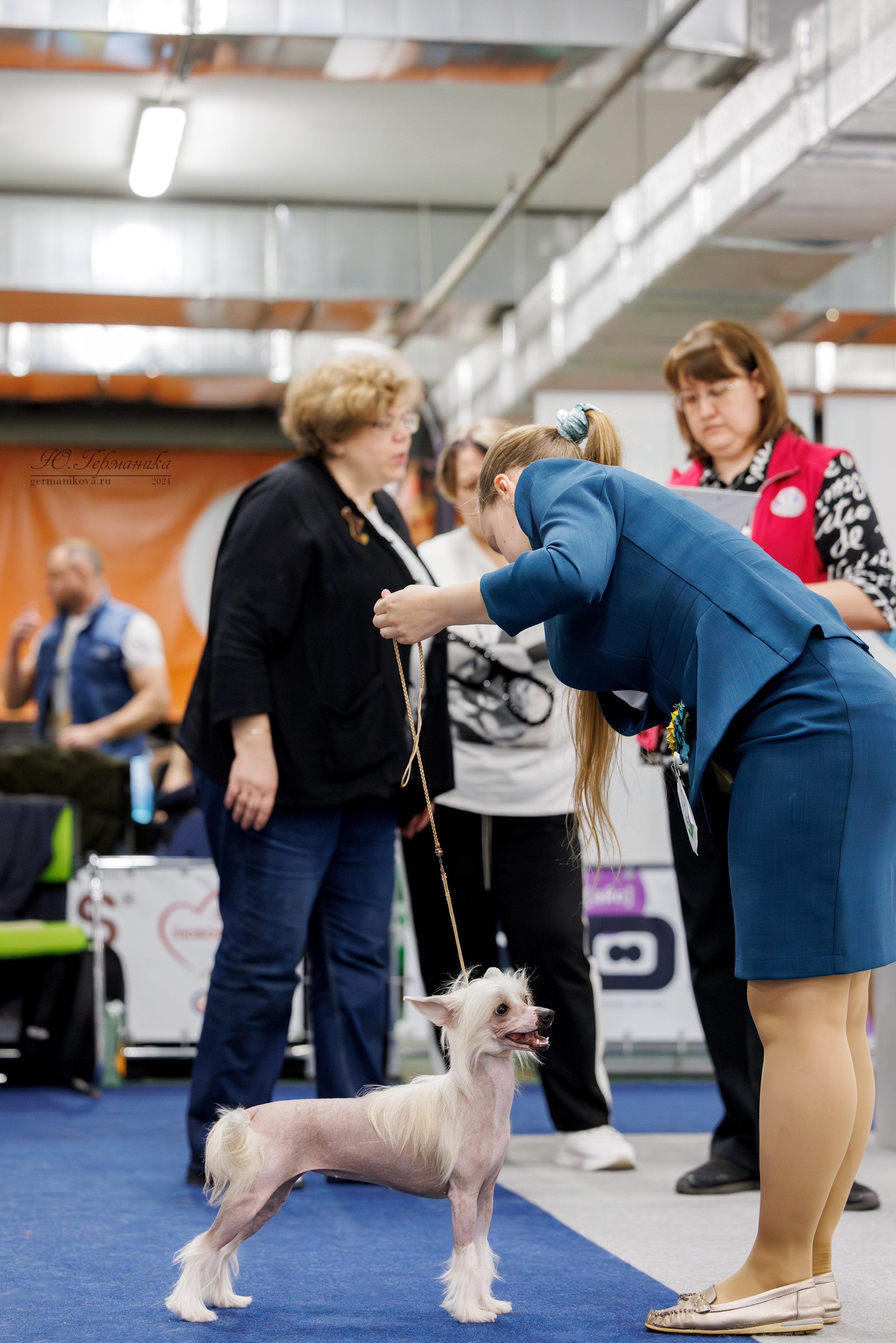 Сфера и Крокус 8,9,16 и 30.03.2025. Фотограф-анималист Юлия Германика