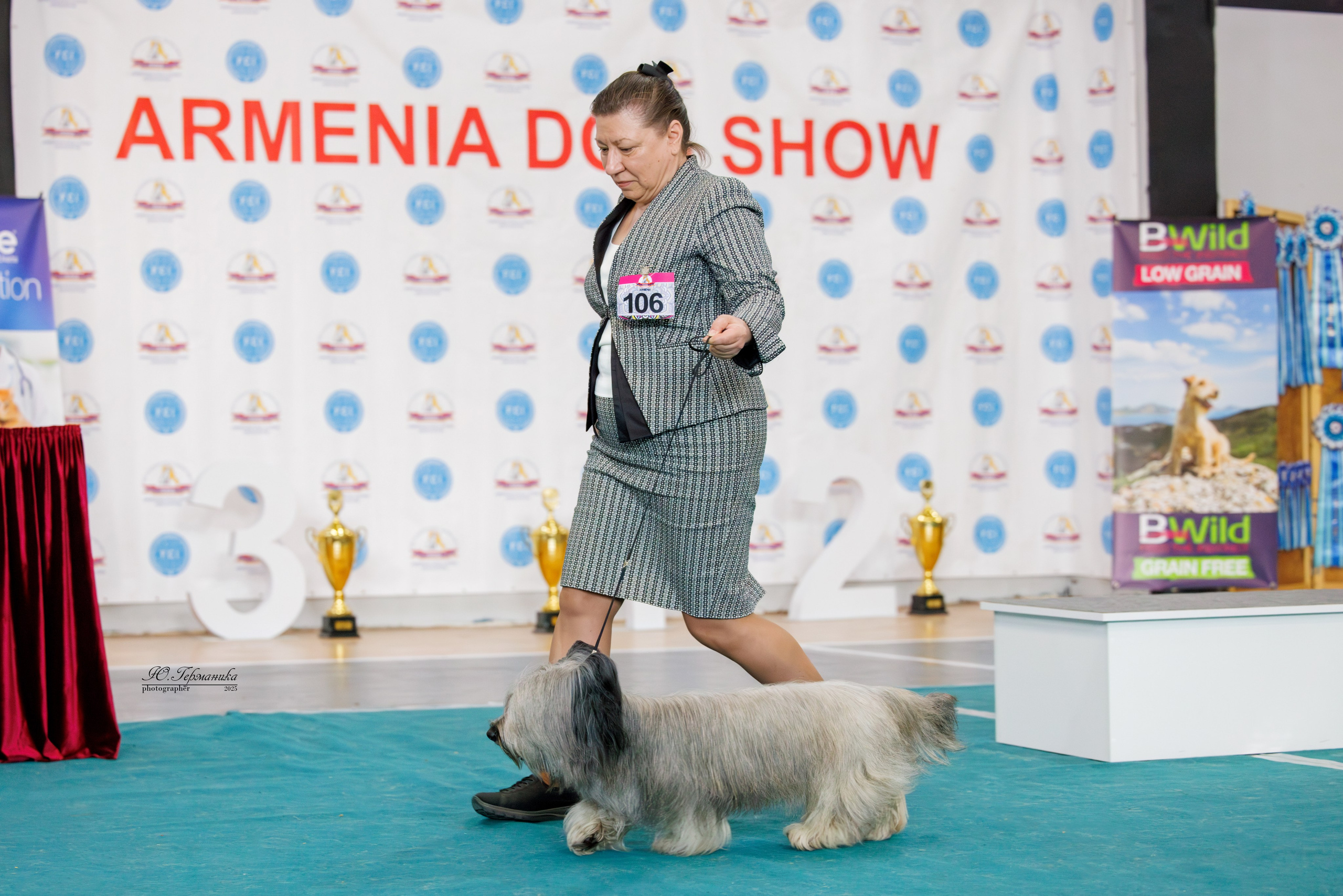 Ереван 2х CACIB 29-30.04.2025. Фотограф-анималист Юлия Германика