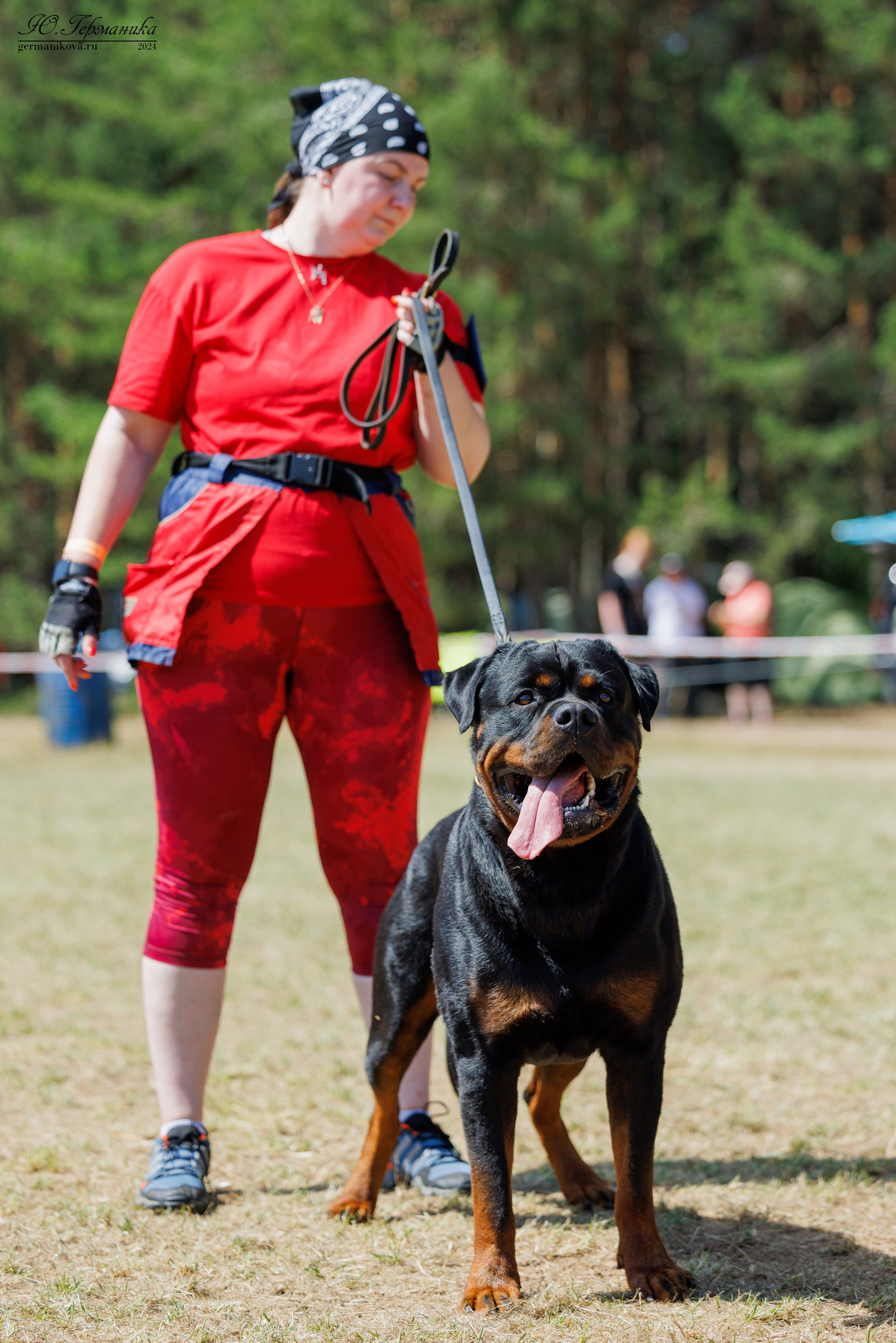 ПК и КЧК ротвейлеры Тверь 6-7.07.2024. Фотограф-анималист Юлия Германика