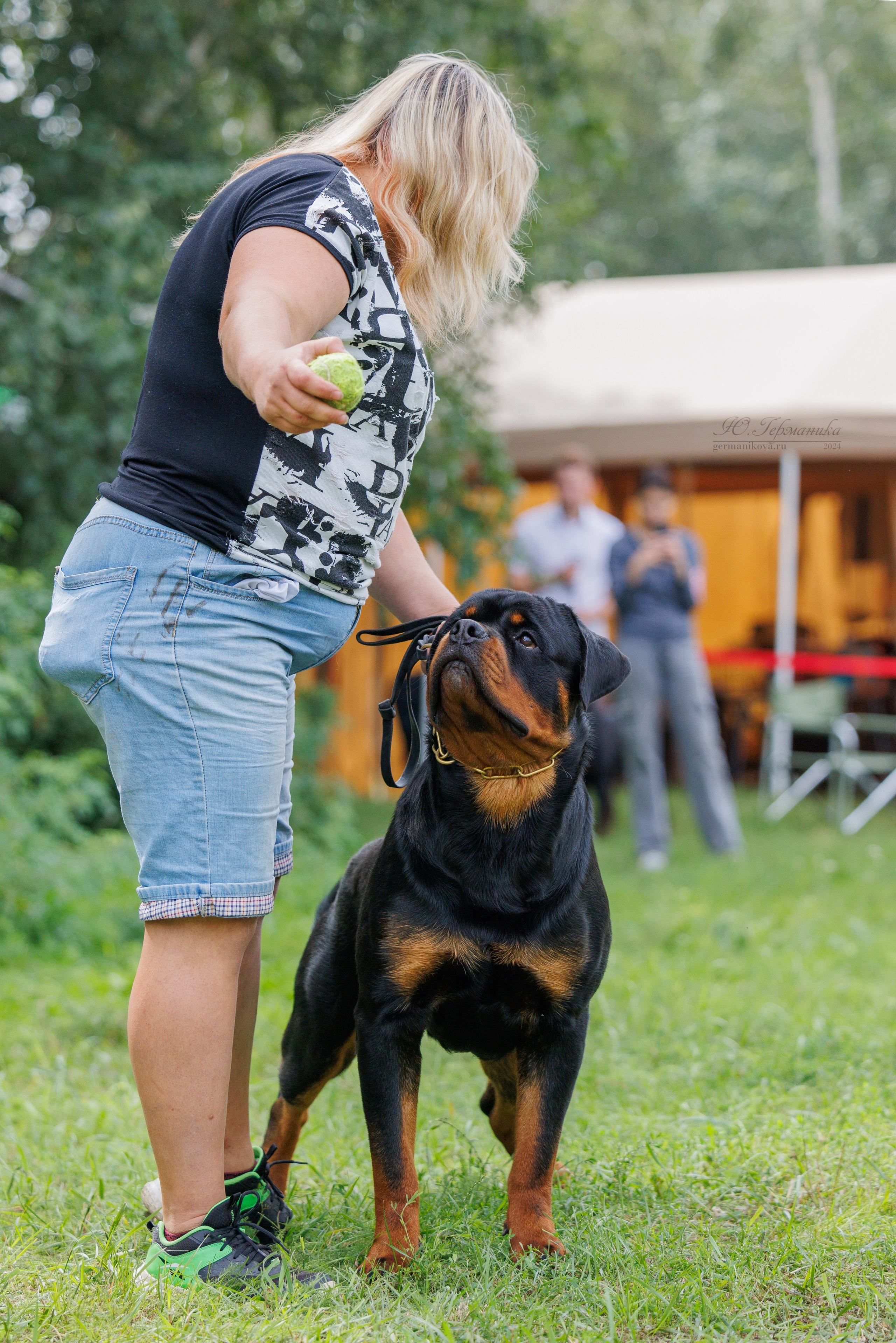 Астана 2хCACIB 17-18.08.2024. Фотограф-анималист Юлия Германика