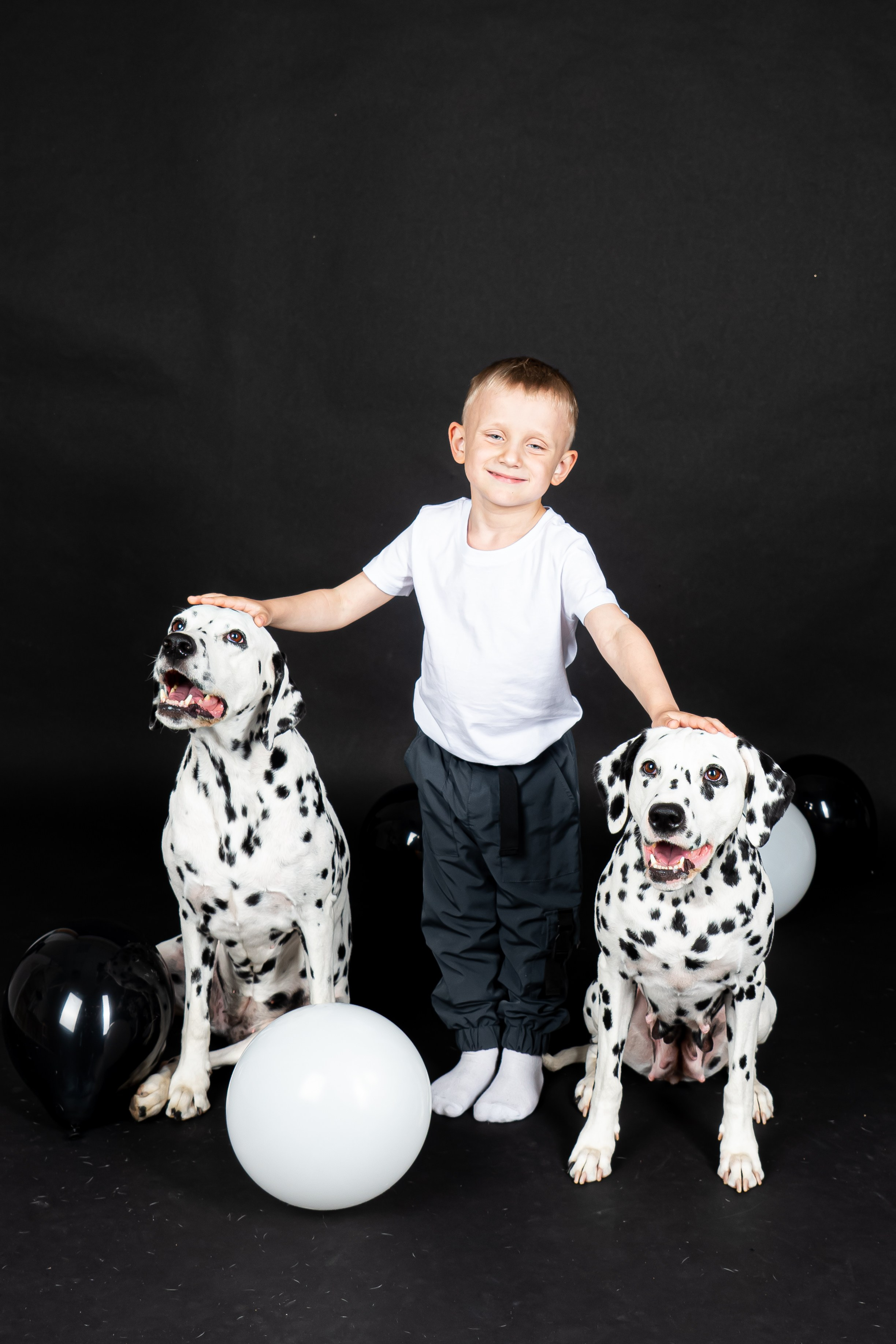 Далматины 2024. Фотограф на Камчатке Анна Моргачёва. Семейные и детские съёмки