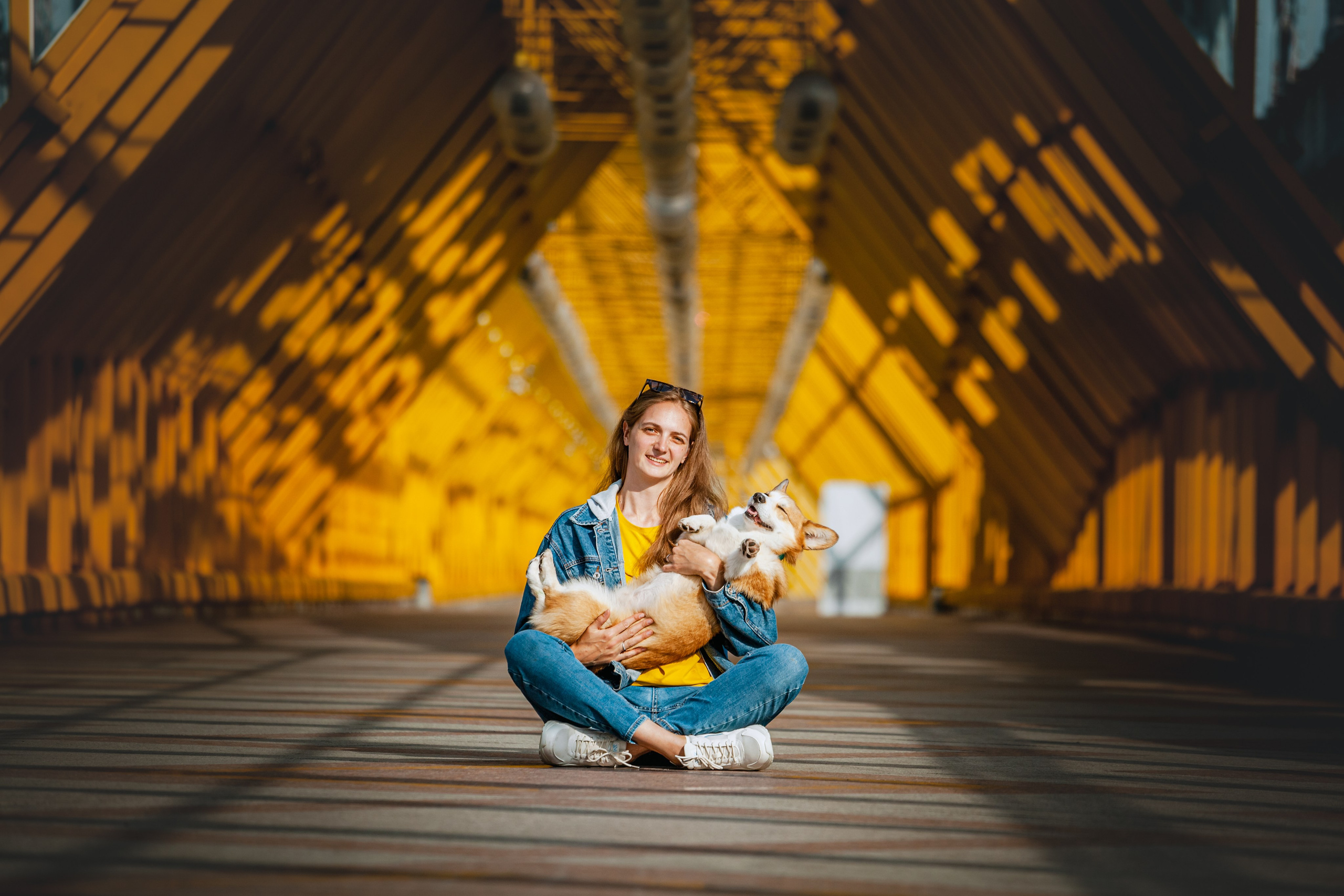 Андреевский мост. Фотограф-анималист Татьяна Степанова