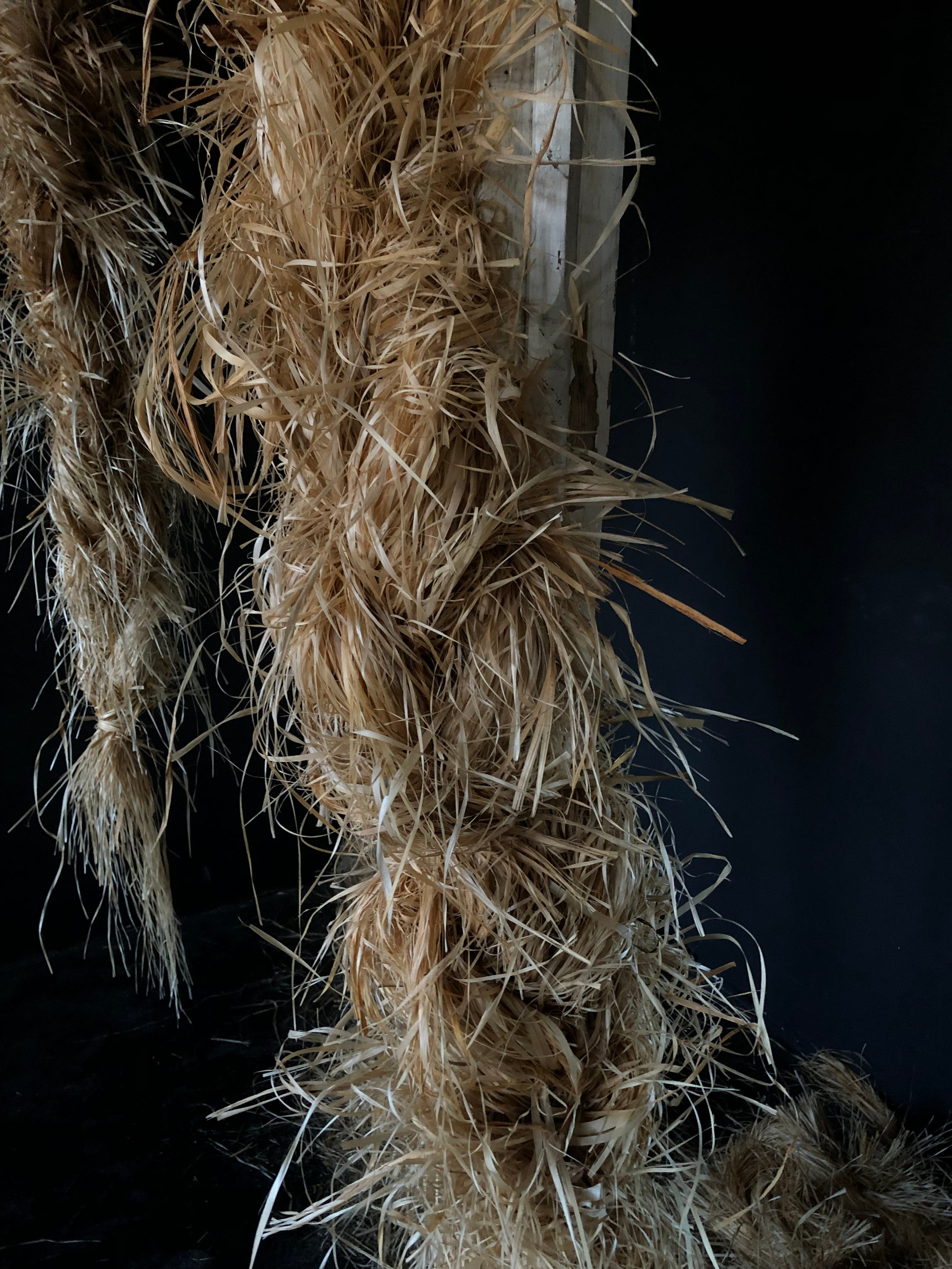 Фотостудия МОХ зал Тьма. Фотограф Настя Лев