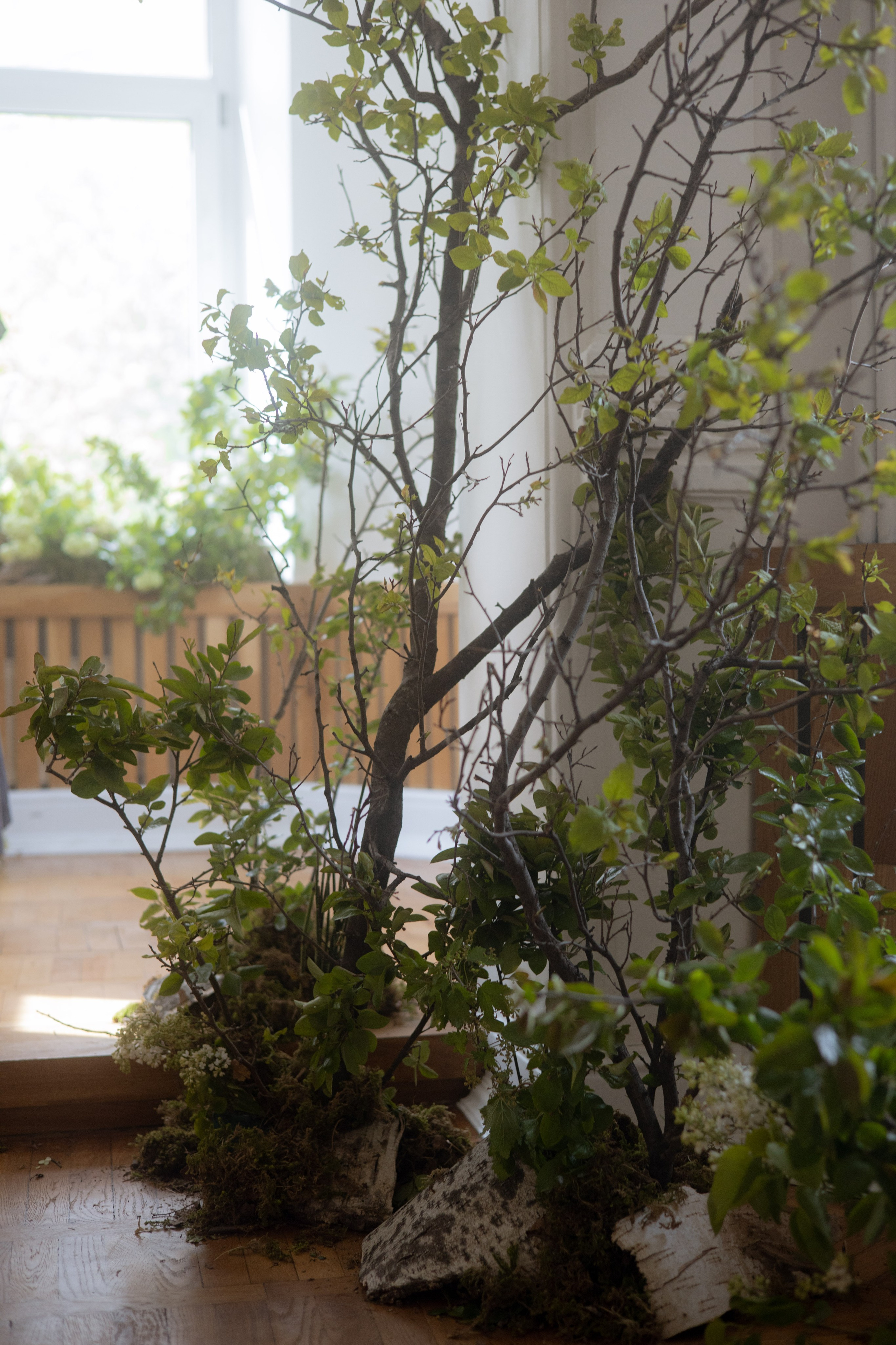 Утро Есении. Оформление свадеб, декор свадеб Вера Маркова, Москва