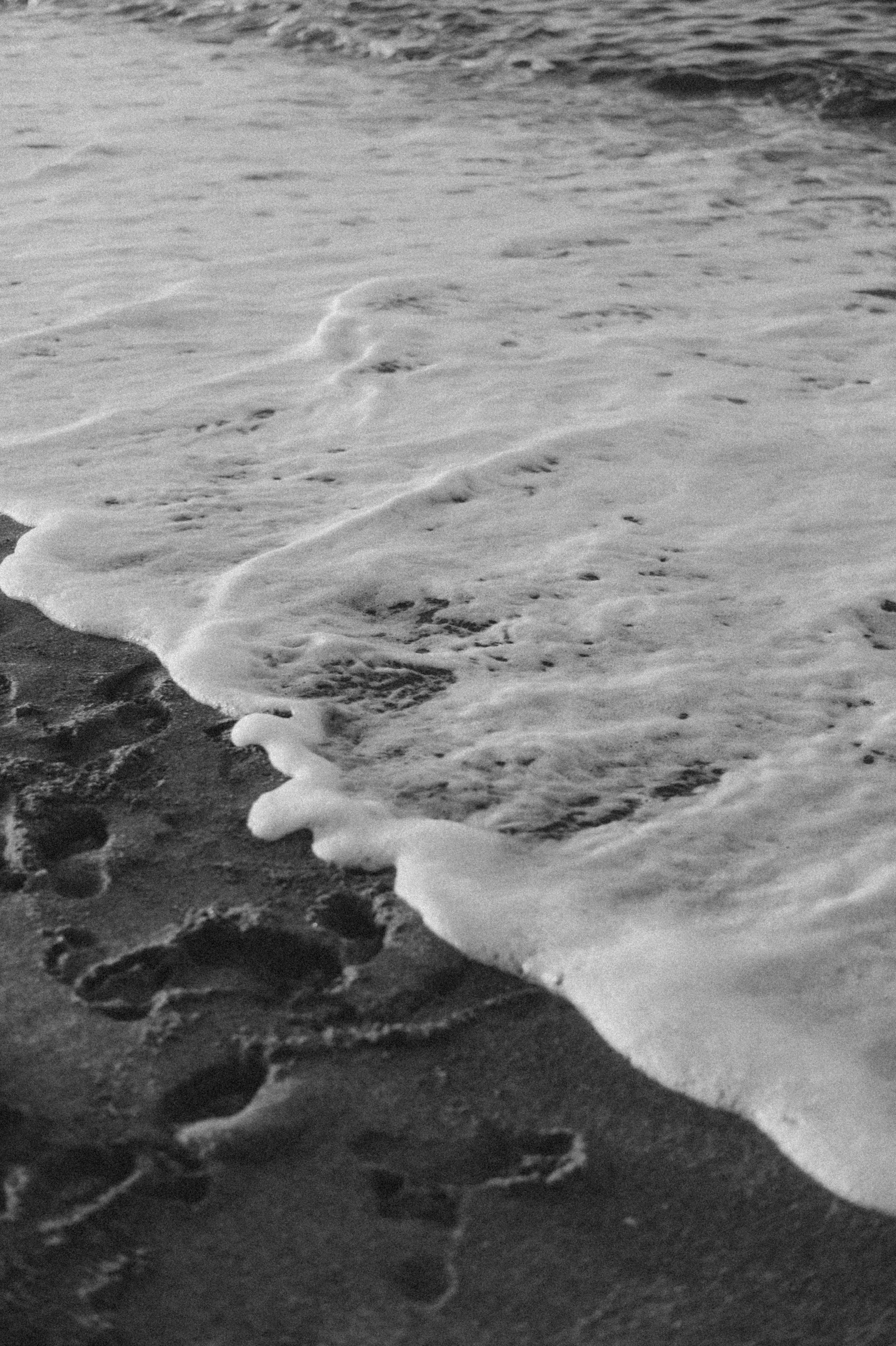 DIANA & DANIL. Photographe de mariage et de famille à Sharm El Sheikh Natalia Matlina