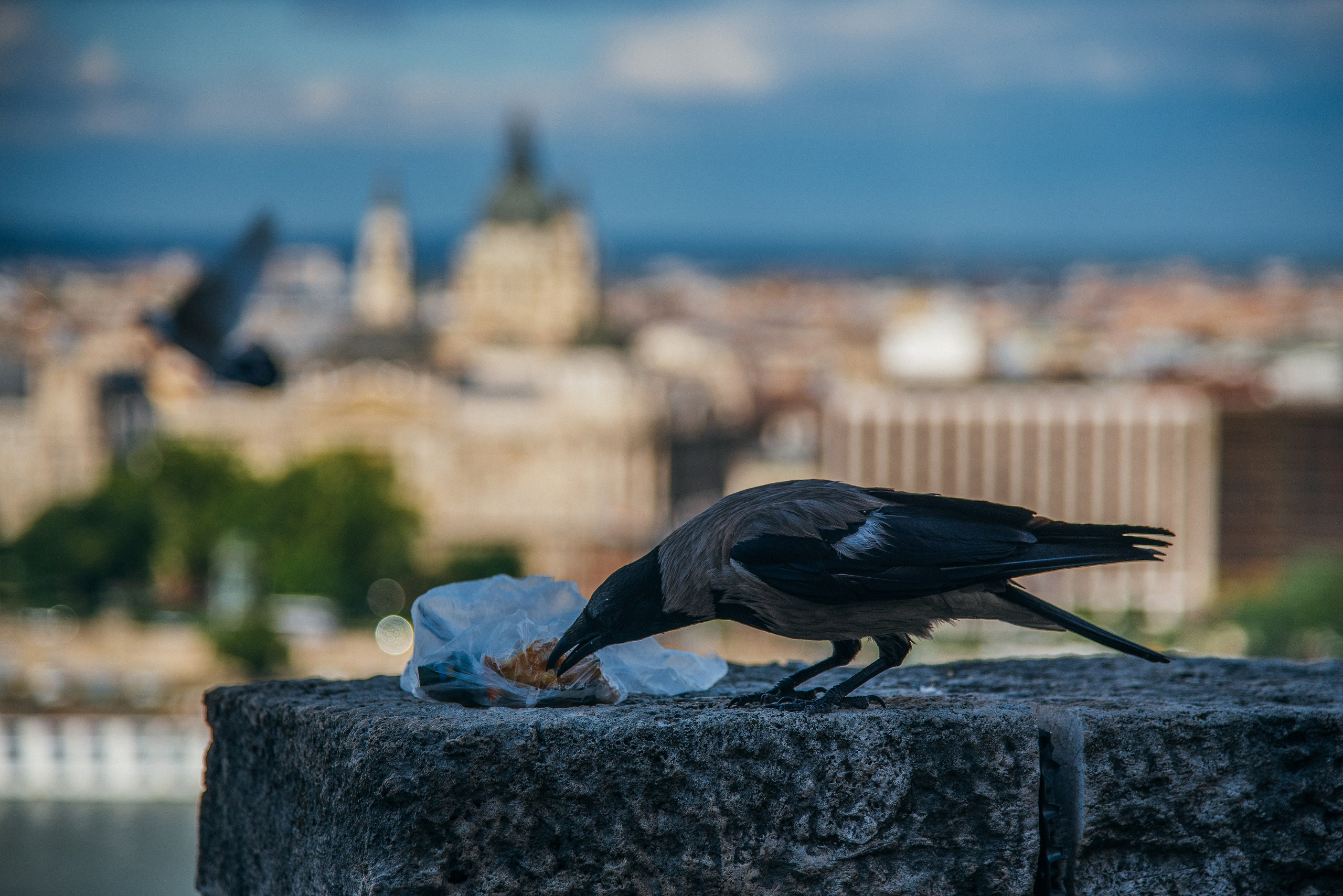Будапешт, 2019. Фотограф Марк Арсаков