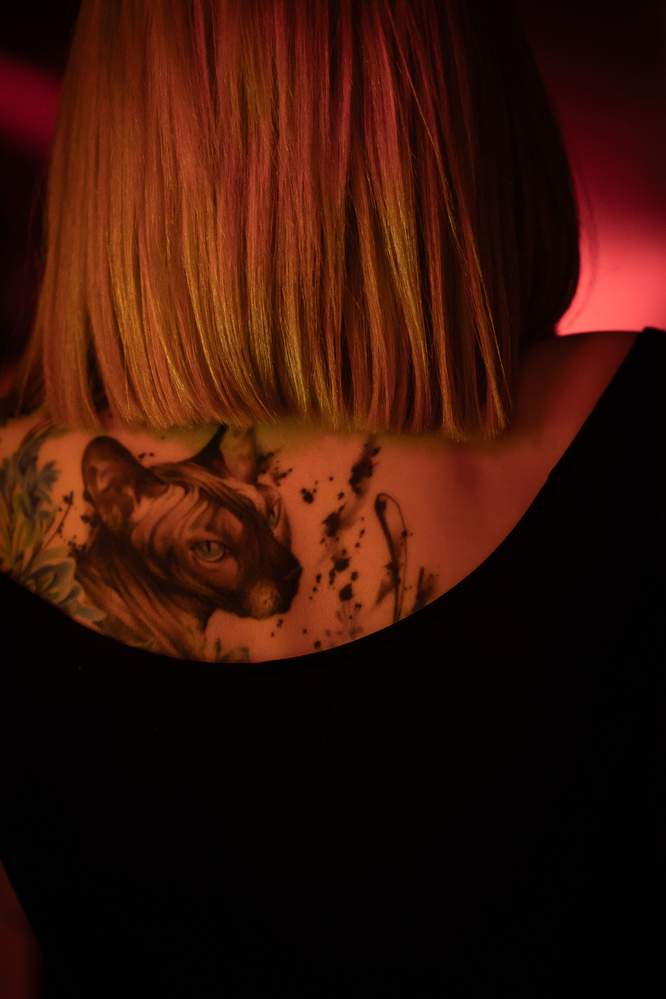 Rooks 13.12 HB. Анастасия Паршукова — фотограф Шерегеш Новосибирск